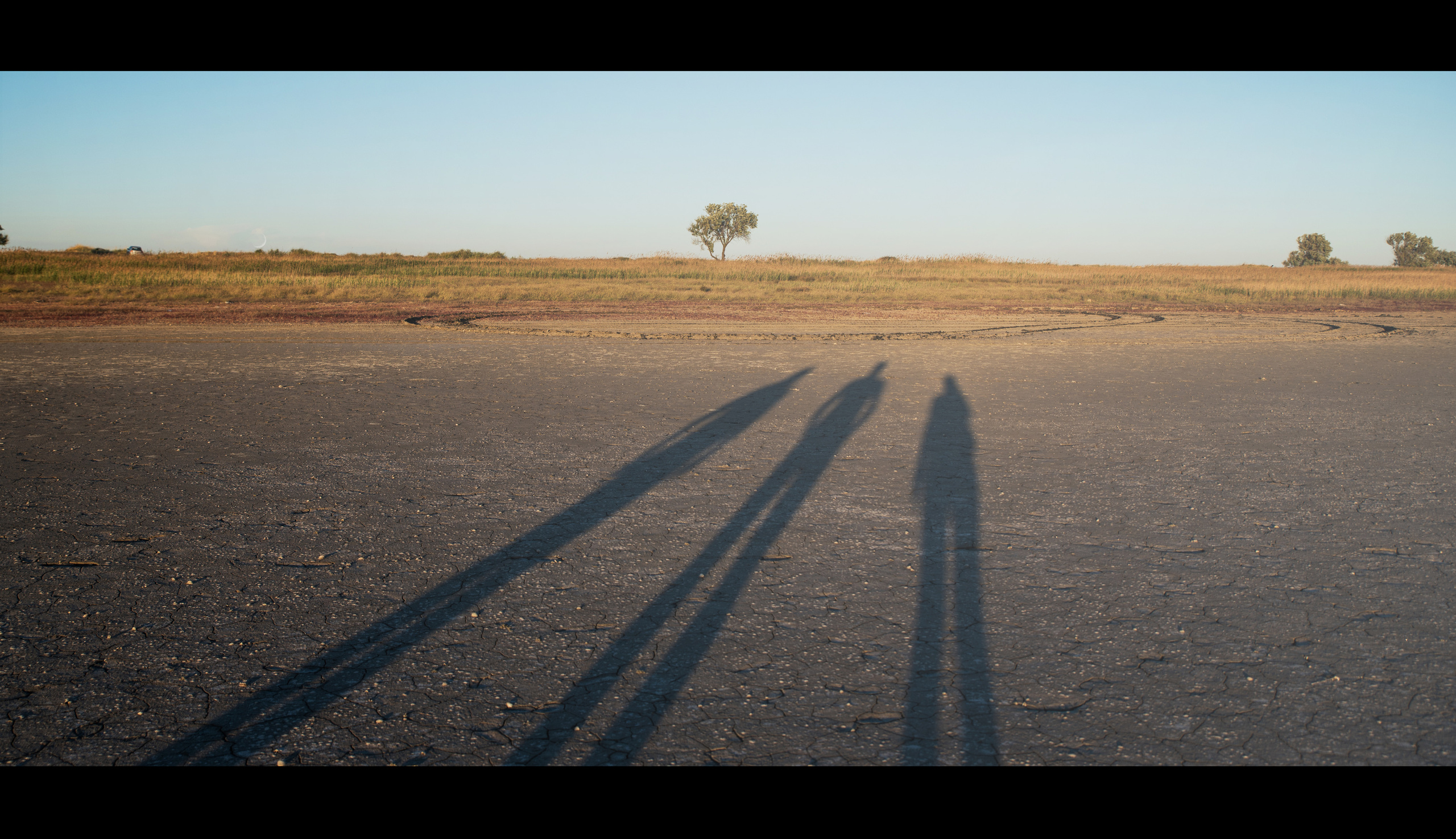 Silence. Ekaterina Verbitskaya. Photography