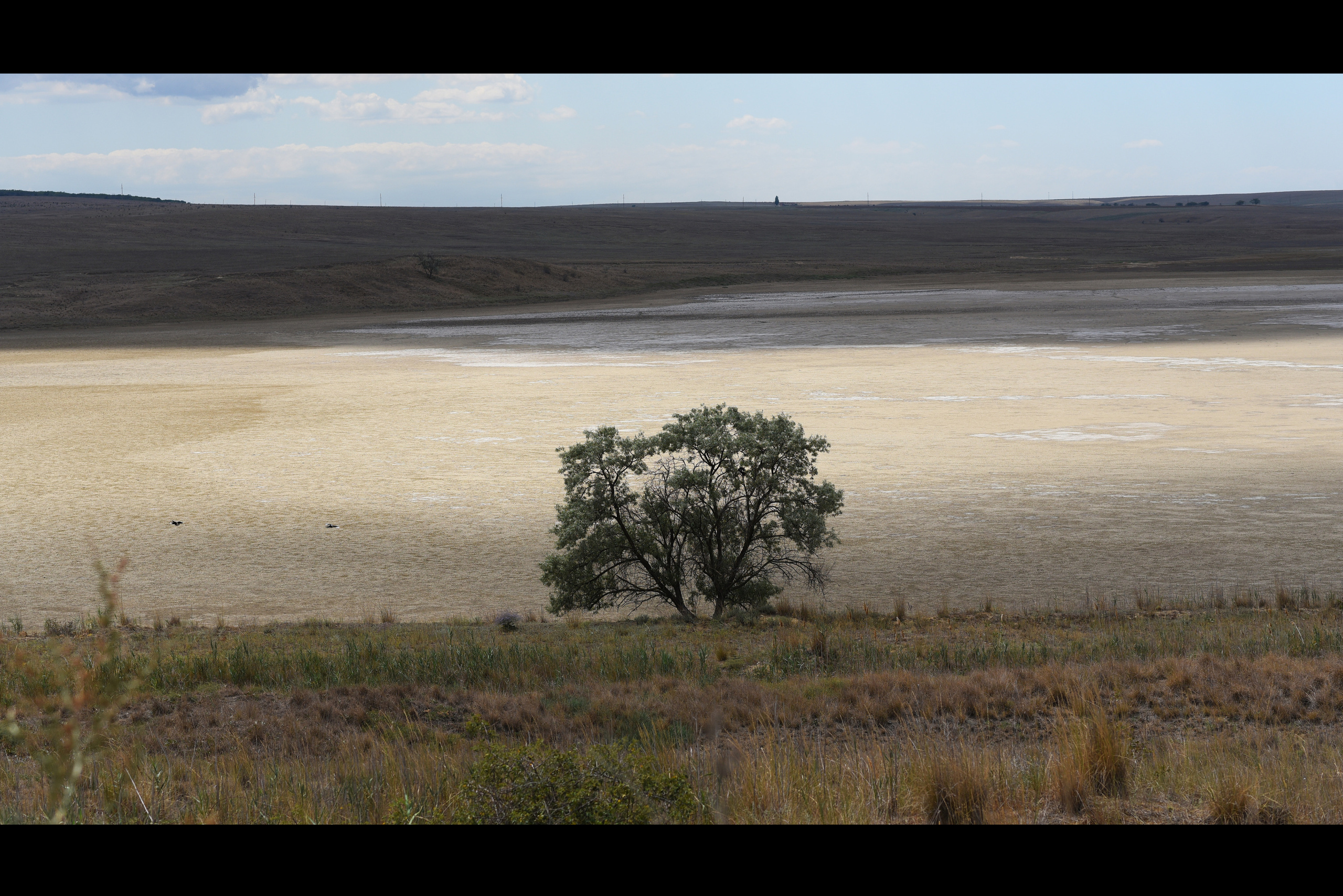 Silence. Ekaterina Verbitskaya. Photography