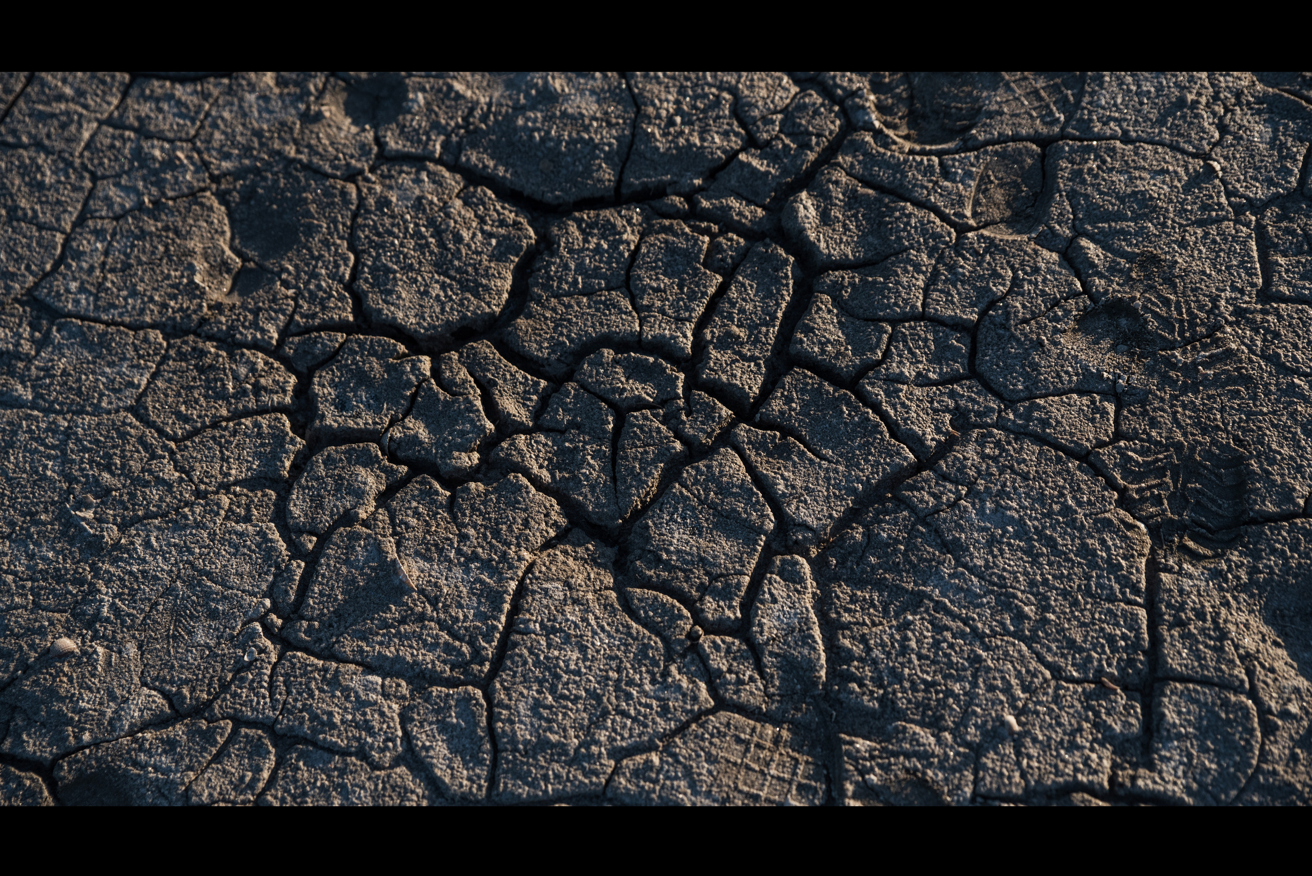 Silence. Ekaterina Verbitskaya. Photography