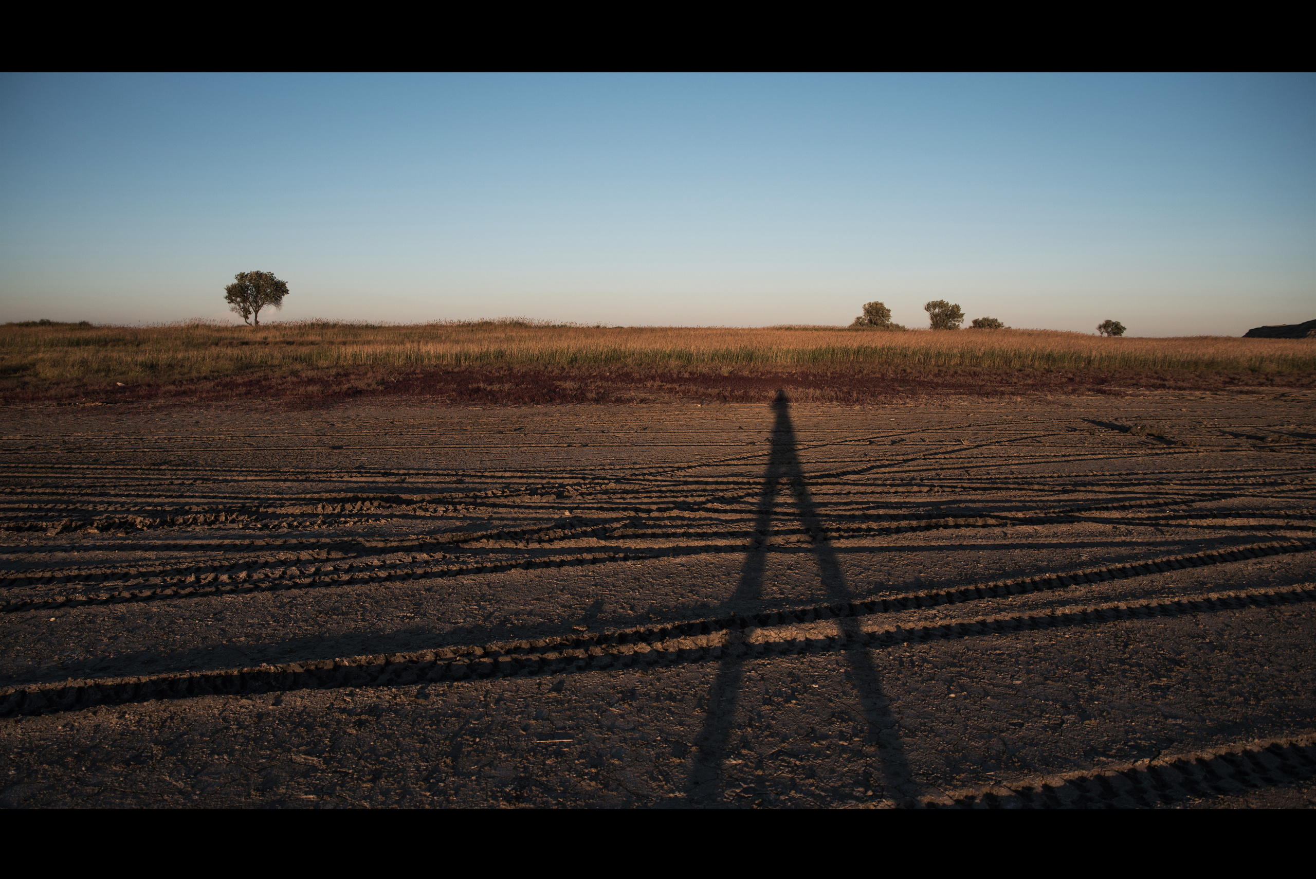 Silence. Ekaterina Verbitskaya. Photography