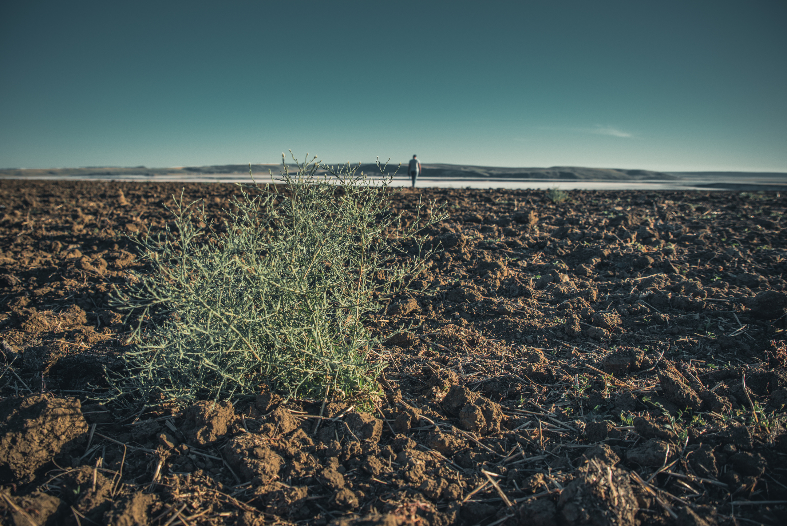 Silence. Ekaterina Verbitskaya. Photography