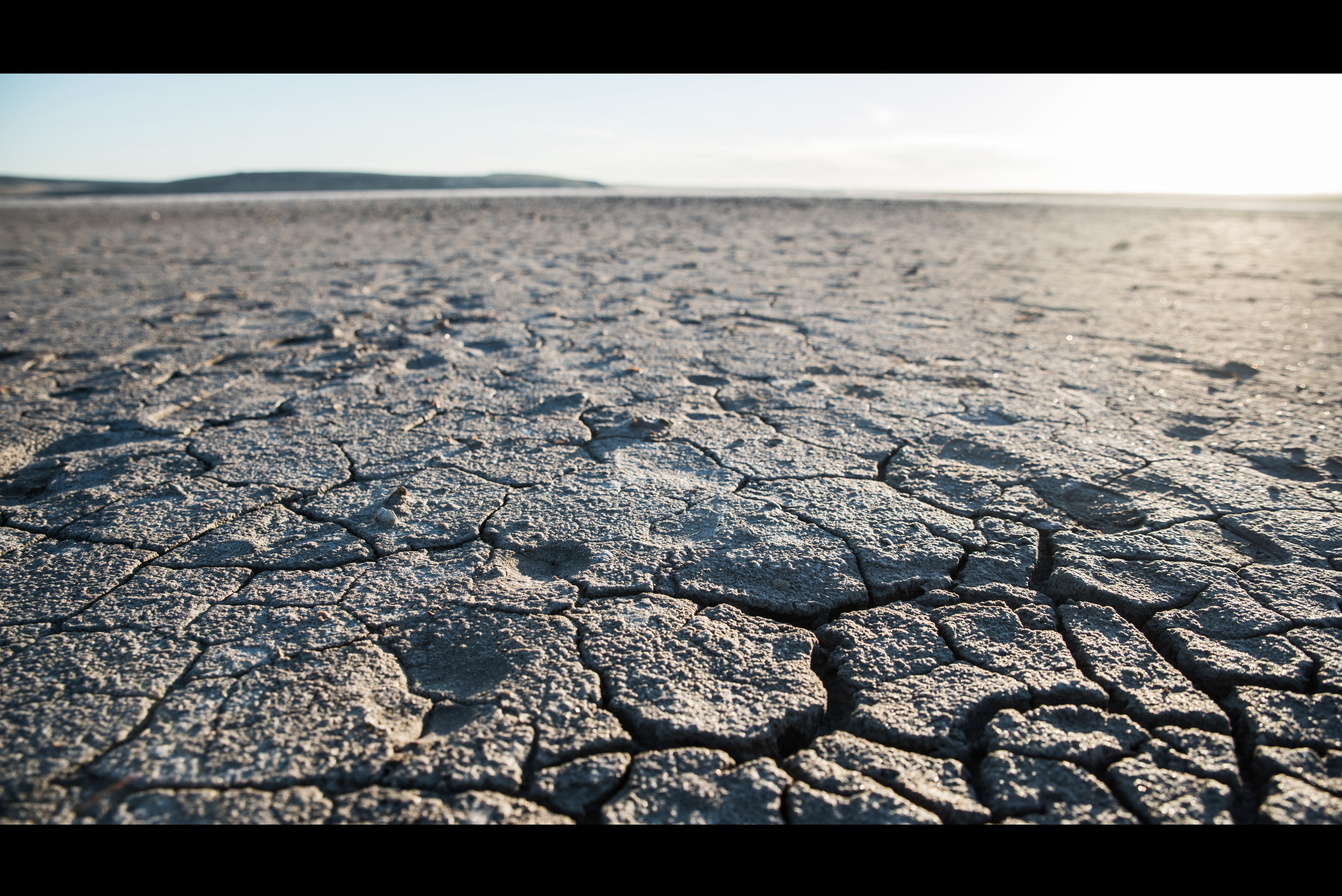 Silence. Ekaterina Verbitskaya. Photography