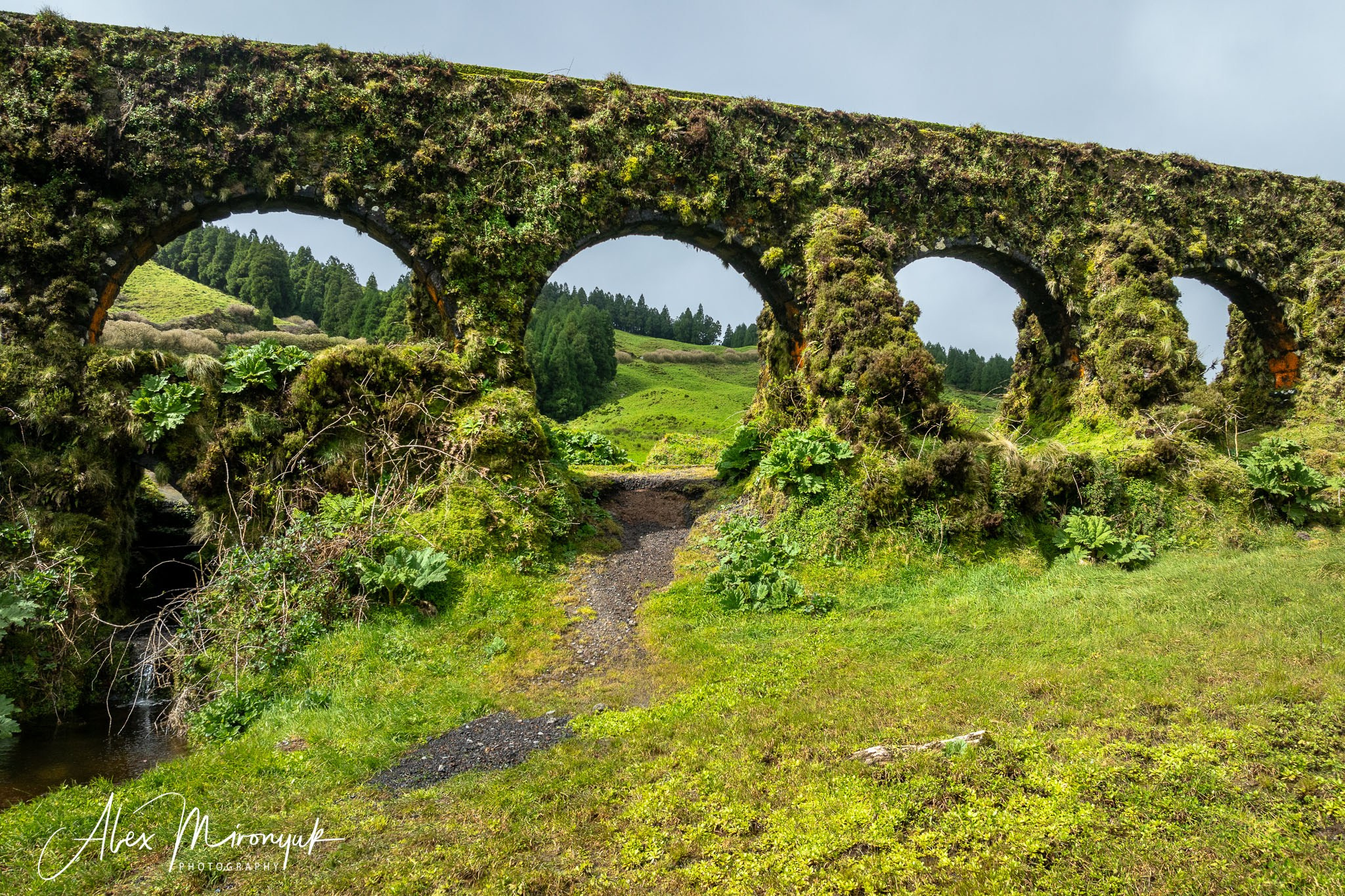 Azores And Madeira. Alex Mironyuk Photography
