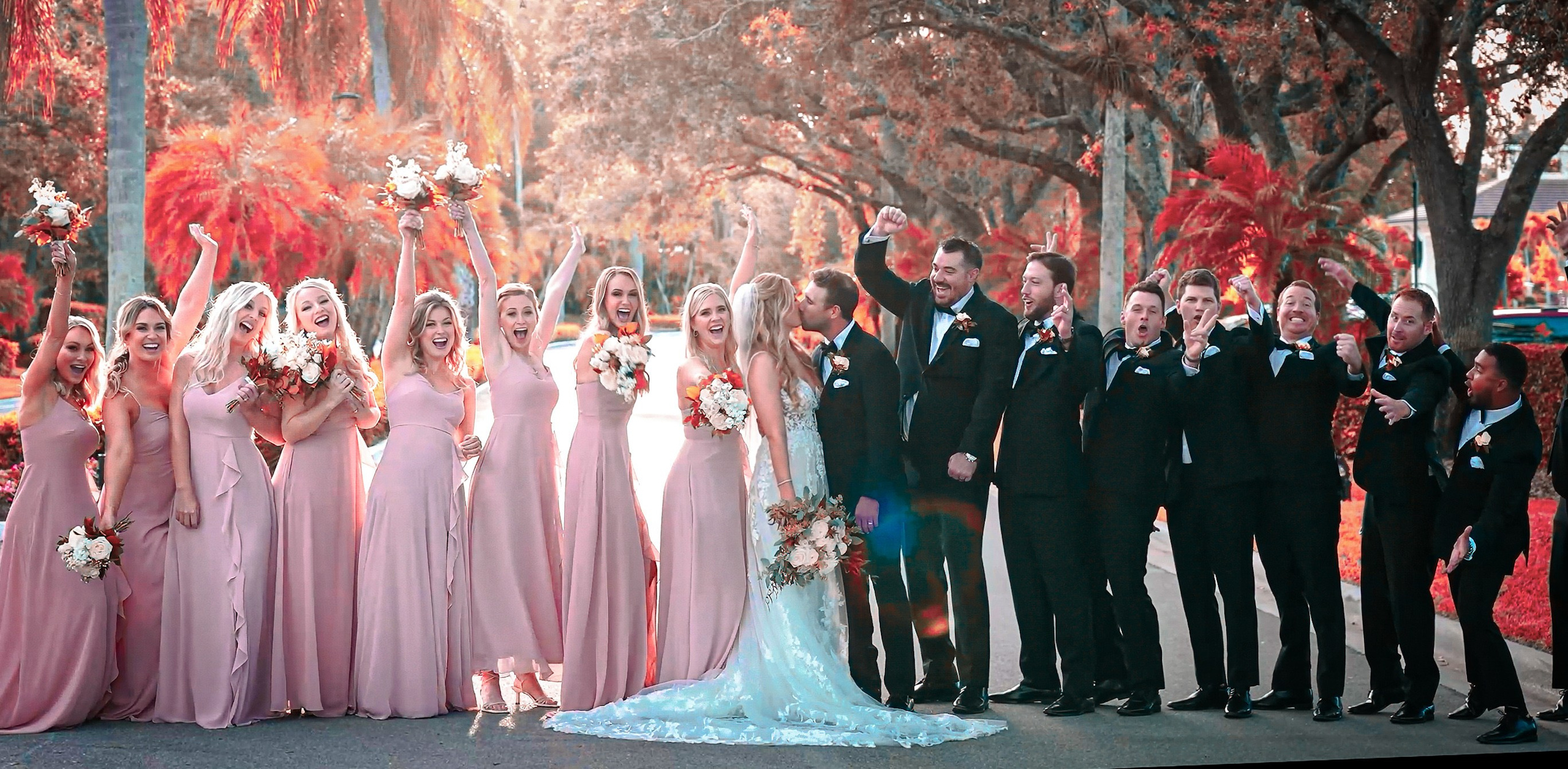 Home. Out and About 239