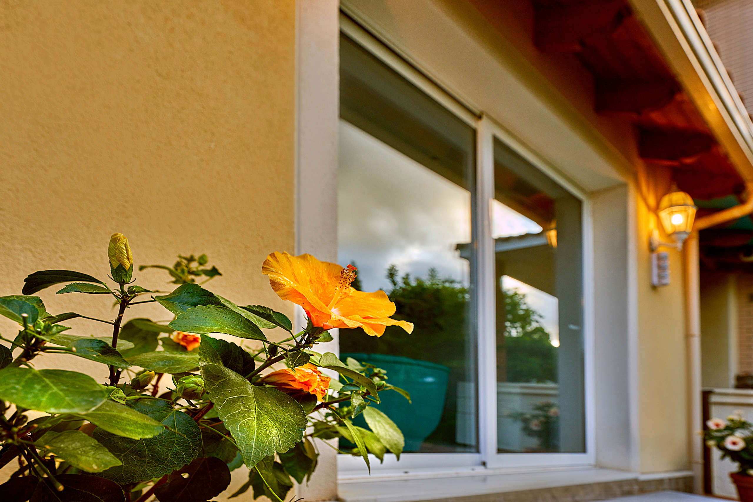 Property. Photographer @ Studio | Barcelona — Svyatoslav Usmyal