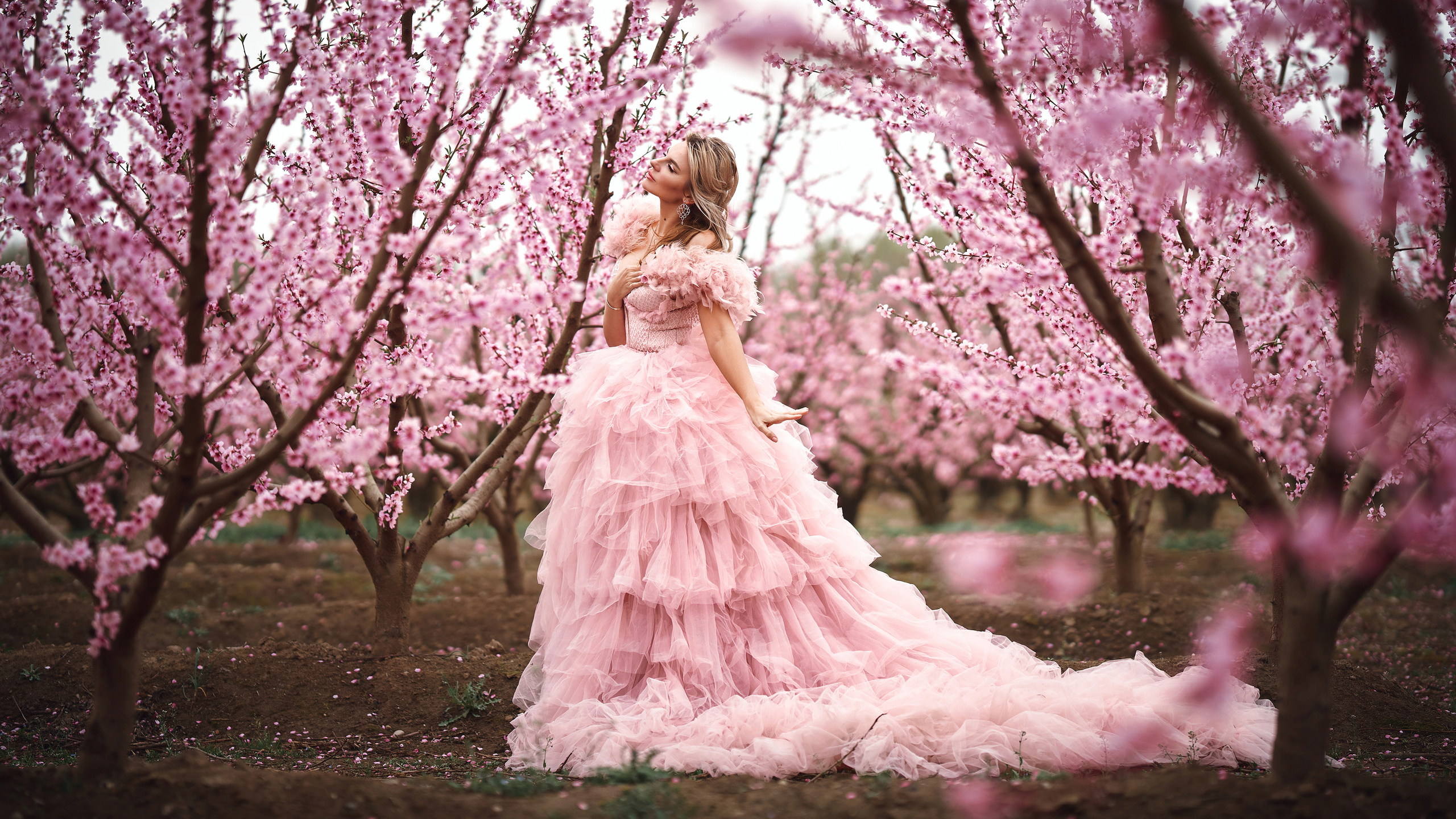 Moda & Vestidos. Inicio