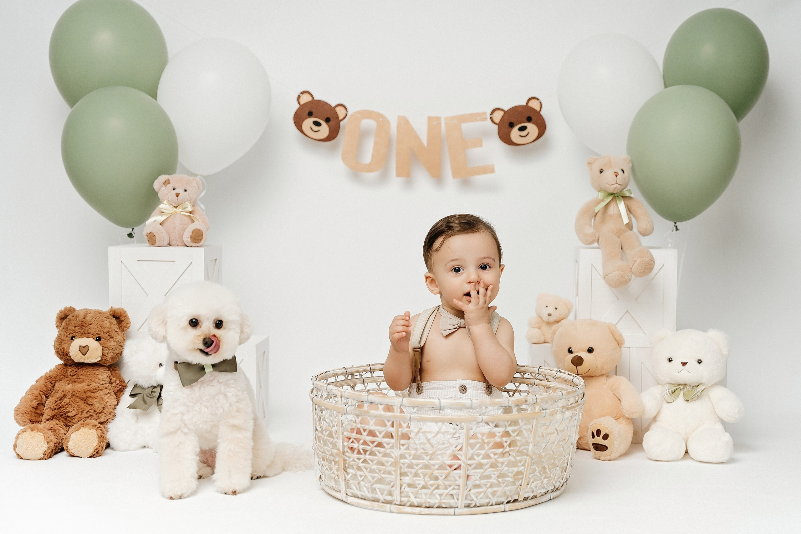 Teddy Bear One Year Cake Smash Photos. Newborn and family photographer. Hills District. Sydney