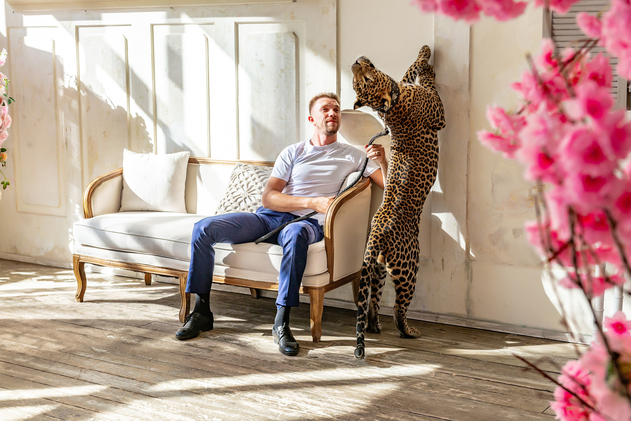Photosession in the studio with a leopard. FOTÓGRAFO MÉXICO QUINTANA ROO