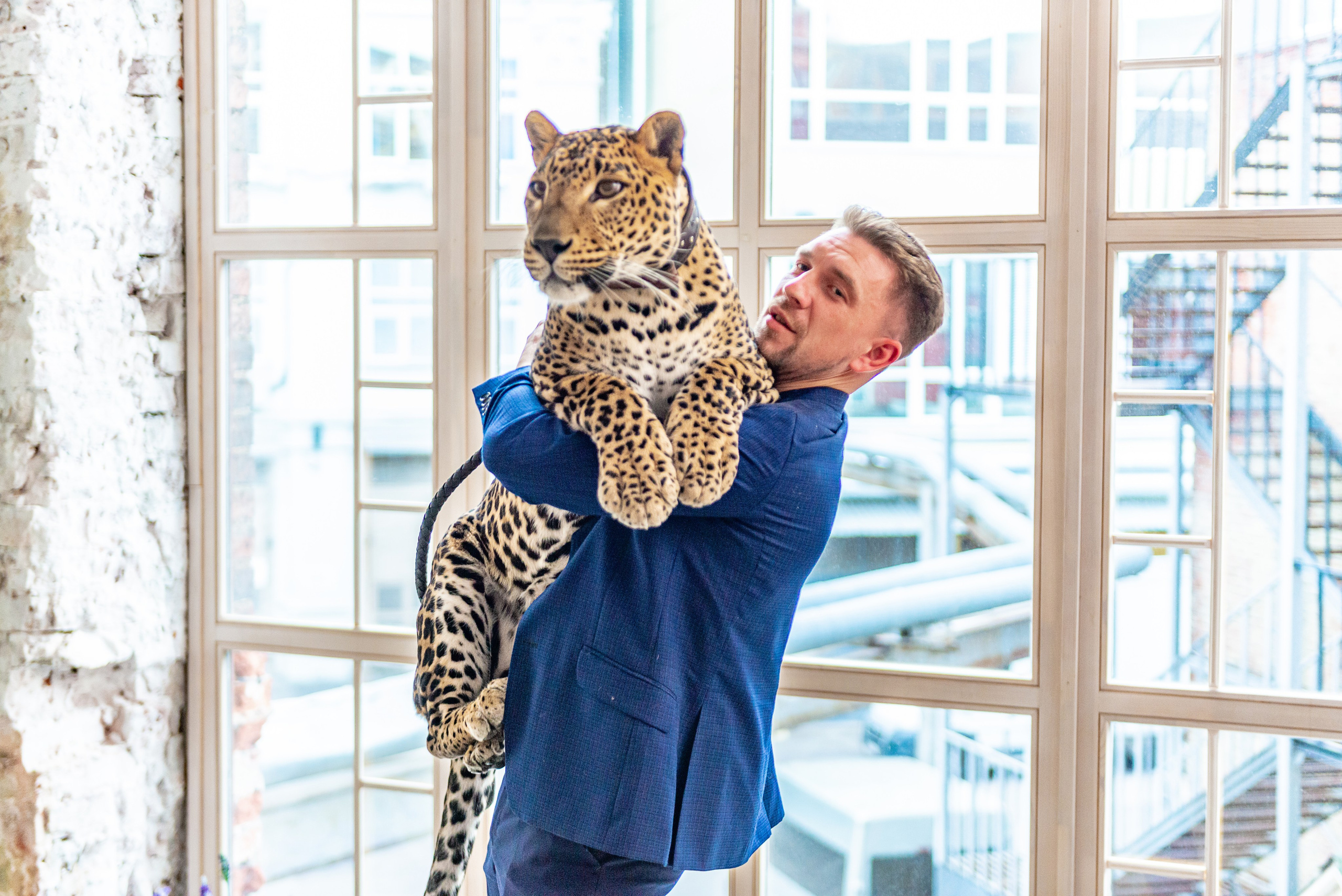 Photosession in the studio with a leopard. FOTÓGRAFO MÉXICO QUINTANA ROO