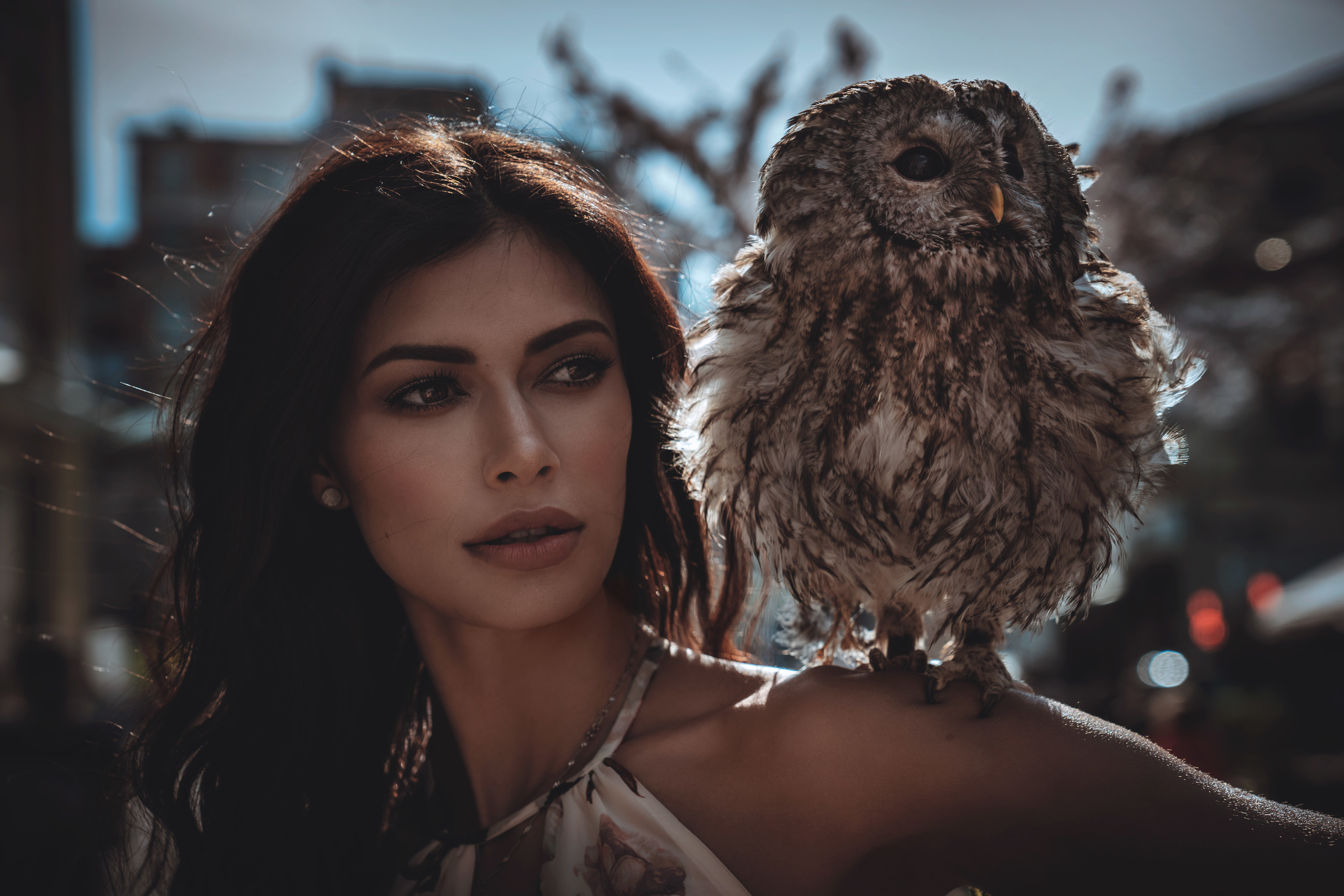 Fashion photographer