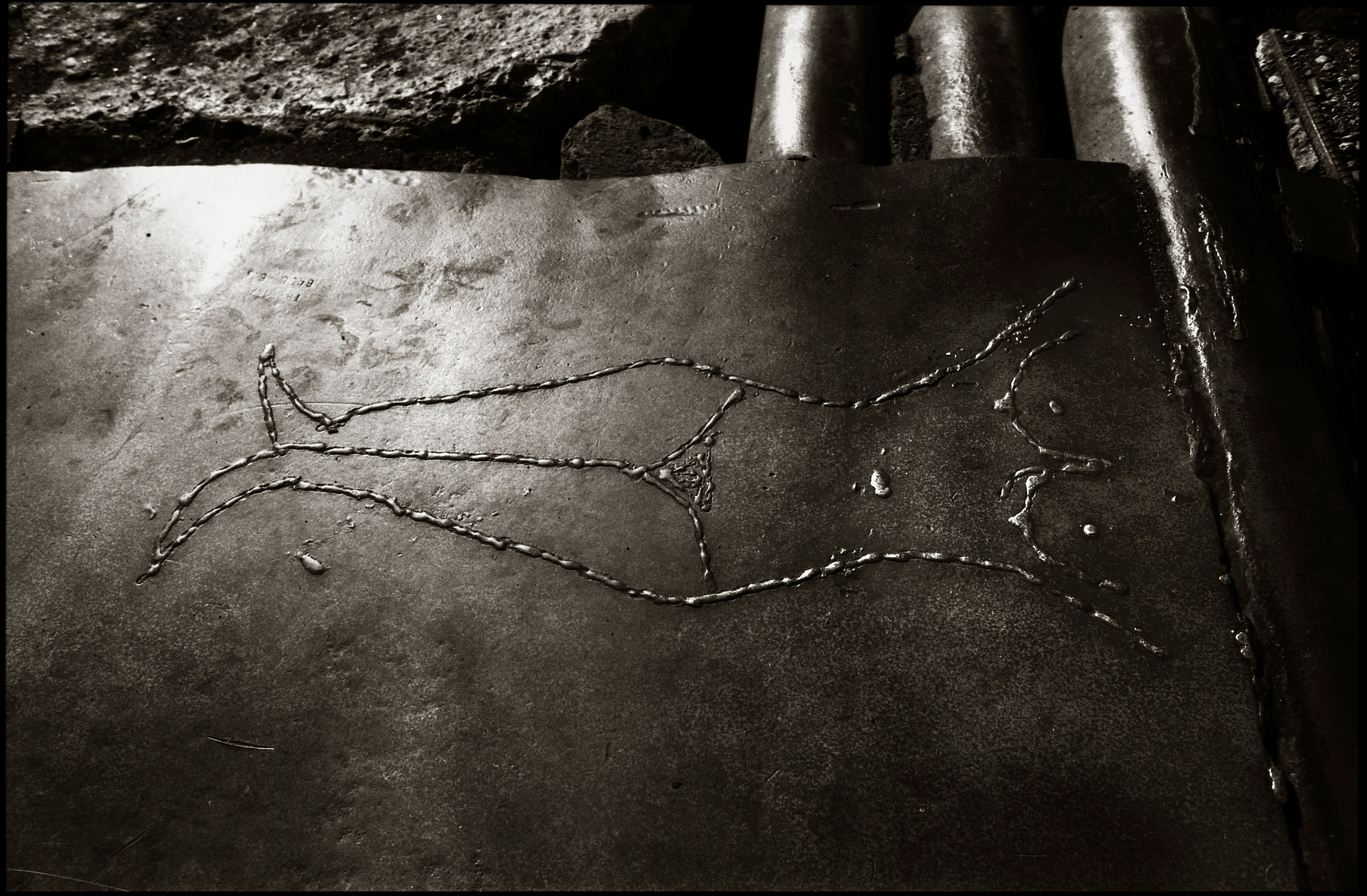 FIELD OF THE MASTER. Www.sananaleskerov.com