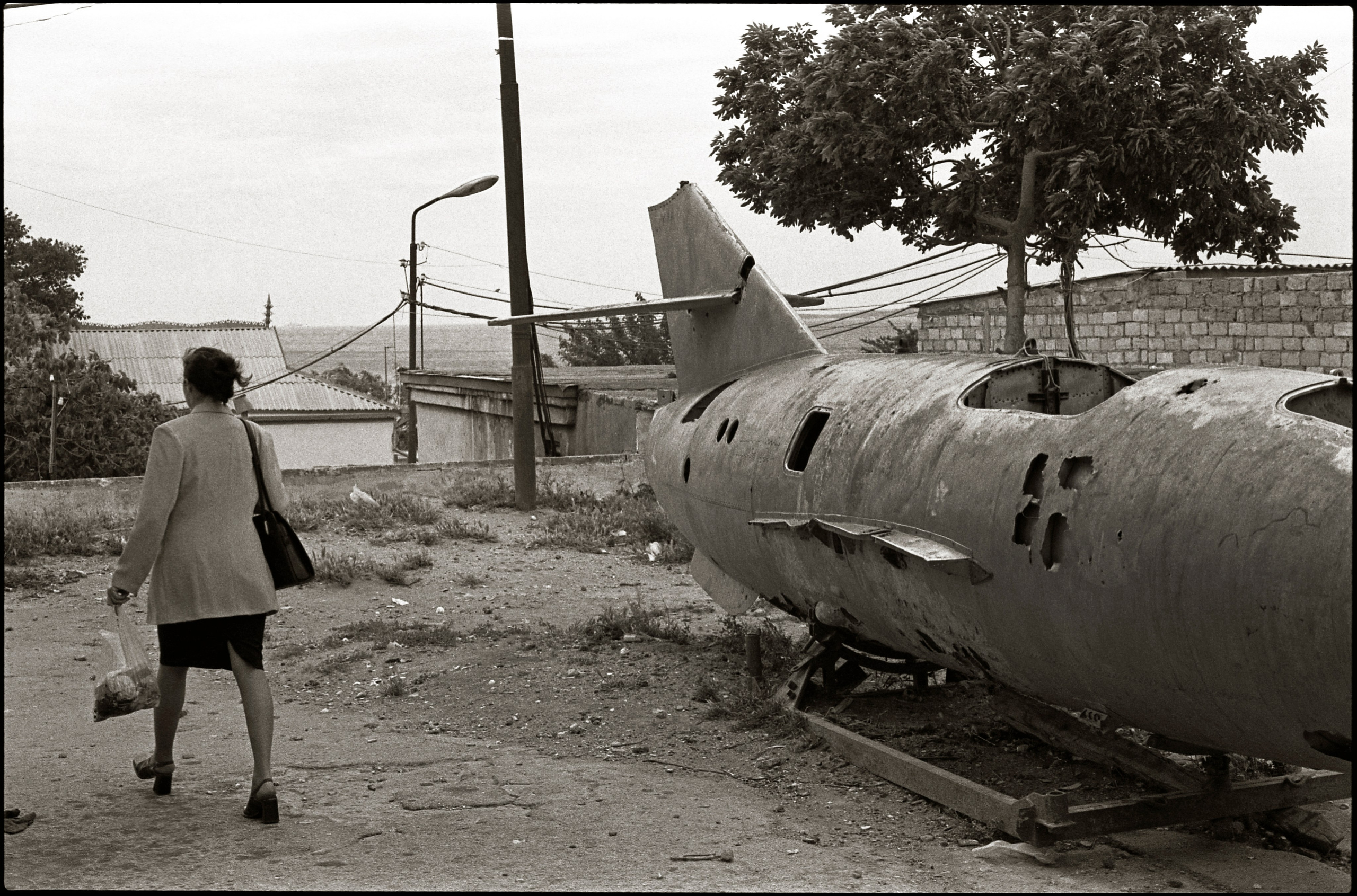 FIELD OF THE MASTER. Www.sananaleskerov.com