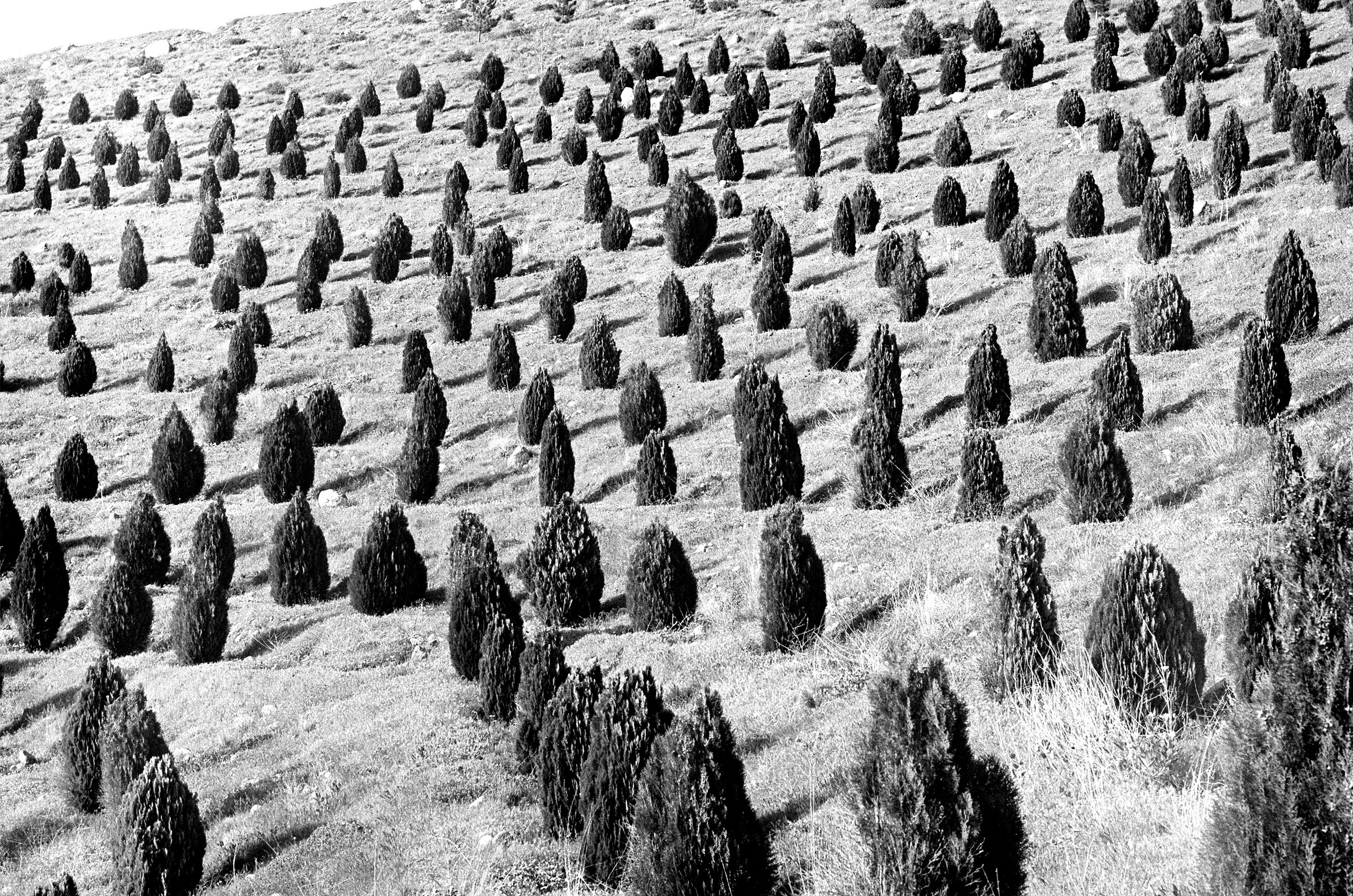 Arman Milani, Brand-Focused Video Production & Content Creation, Based in Berlin