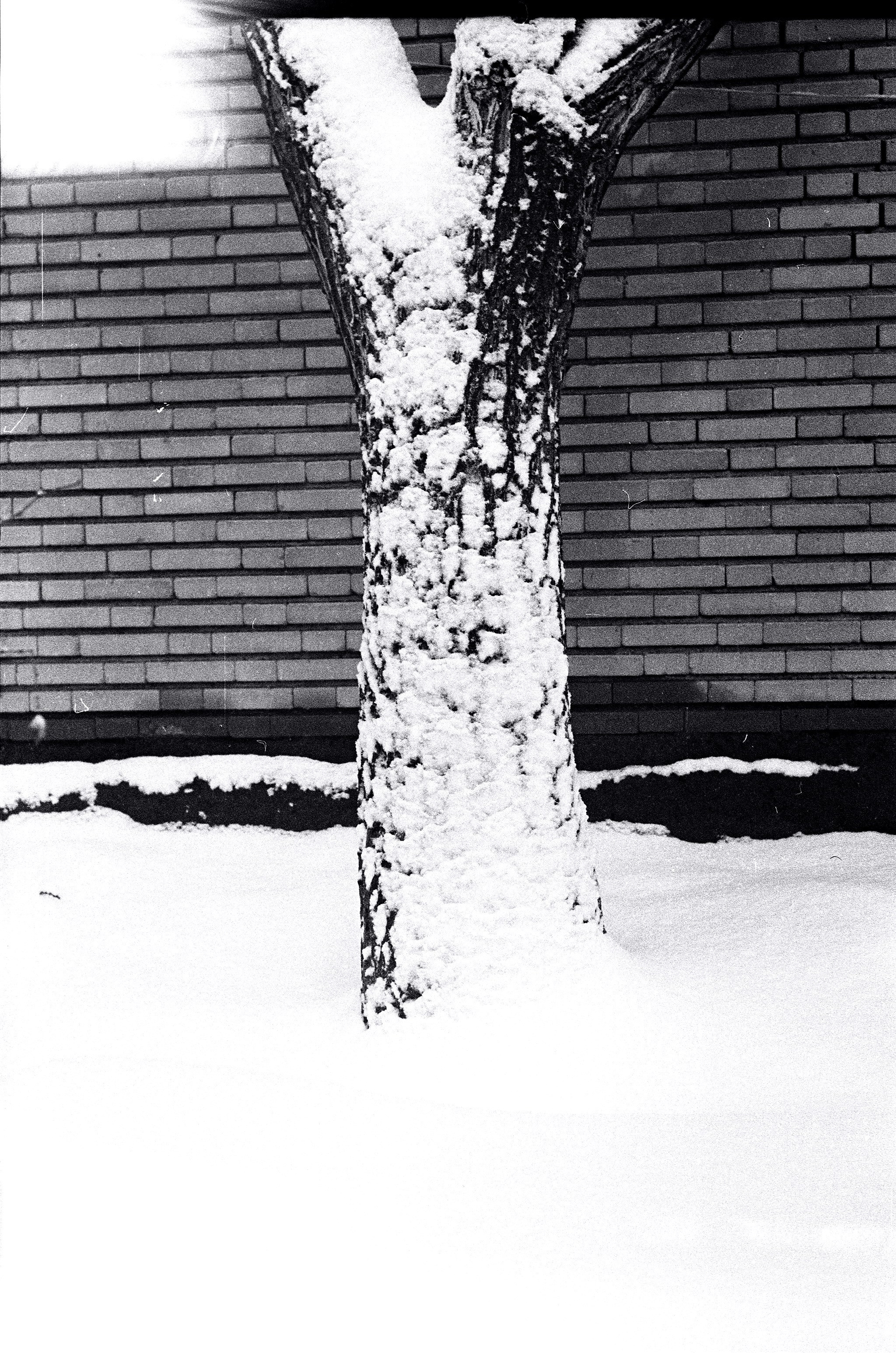 Arman Milani, Brand-Focused Video Production & Content Creation, Based in Berlin