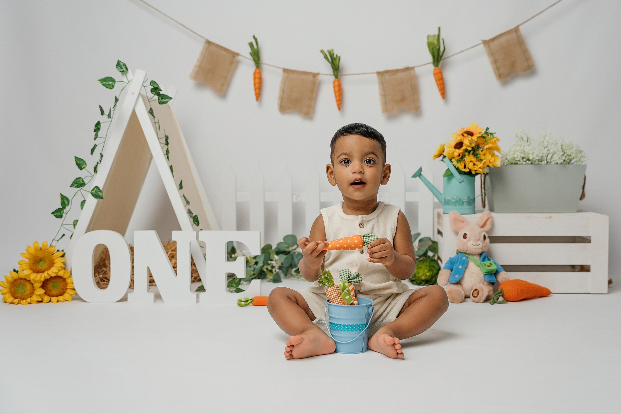 Peter rabbit cake smash session. Newborn and family photographer. Hills District. Sydney