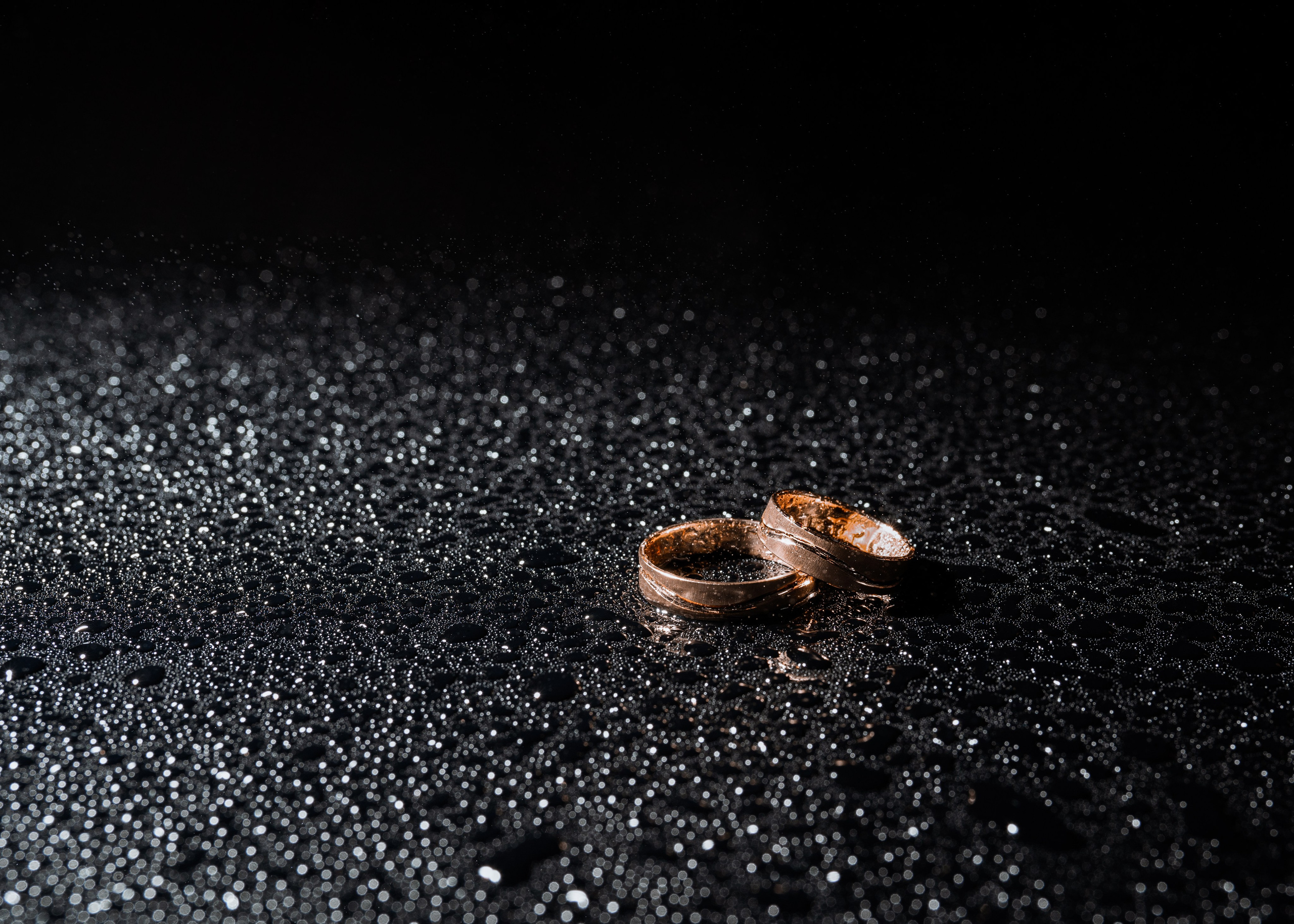 Symbolträchtige Eheringe in einer eleganten Nahaufnahme, die die Liebe und Hingabe des Brautpaares verkörpern