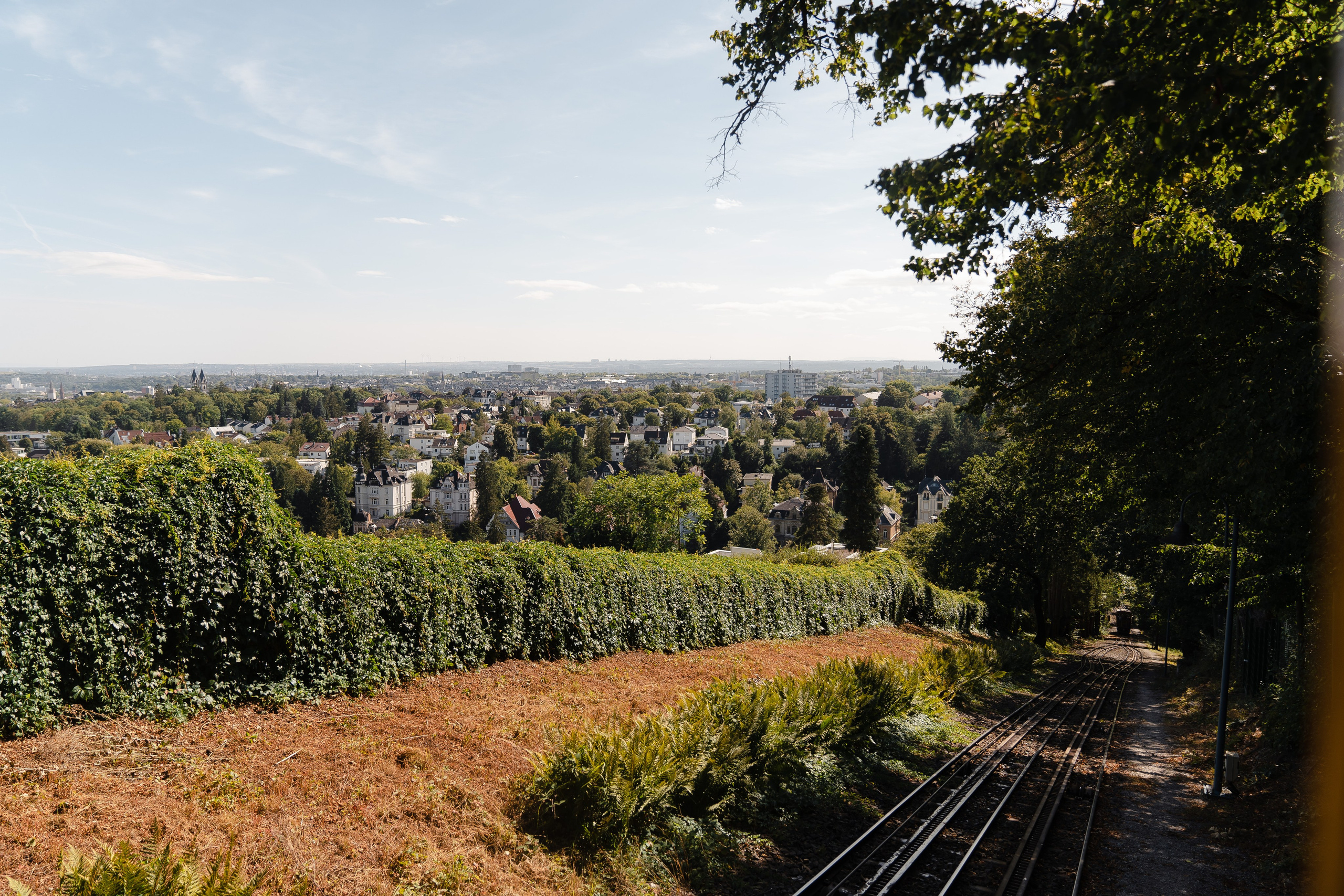 Hochzeitsfotografie in Wiesbaden | Rathaus, Neroberg & Weinberge