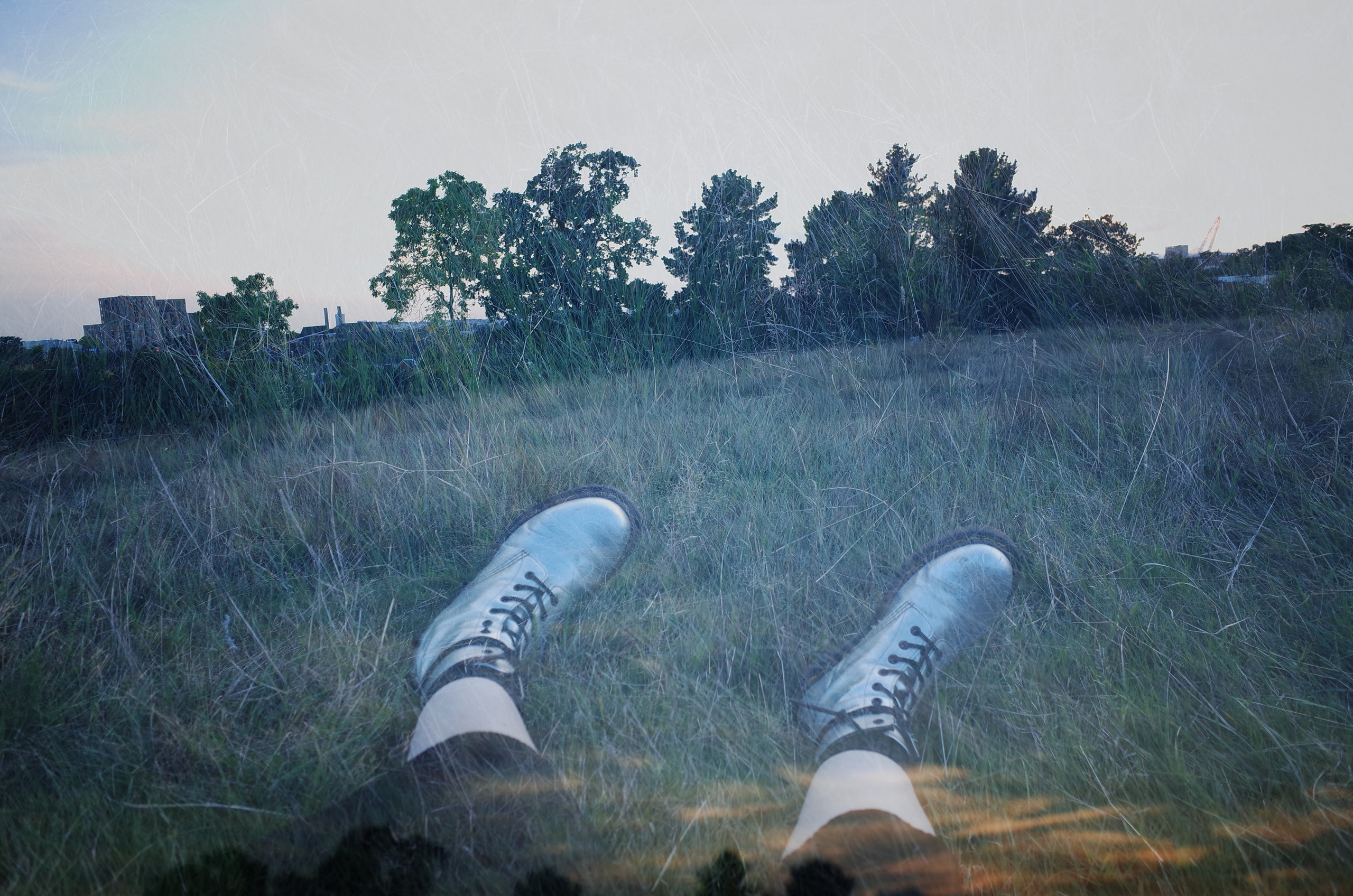 AutoHerbarium. Victoria Dini. Art photography in London / Folkestone, UK