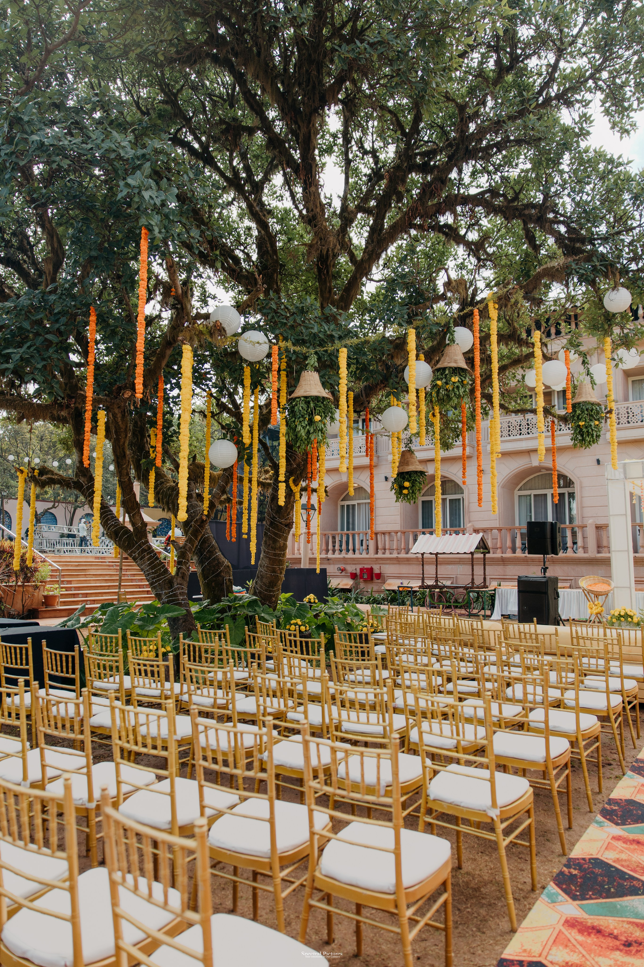 #THEPURALOVESTORY is a journey of two hearts growing in sync, across seasons, challenges, and memories