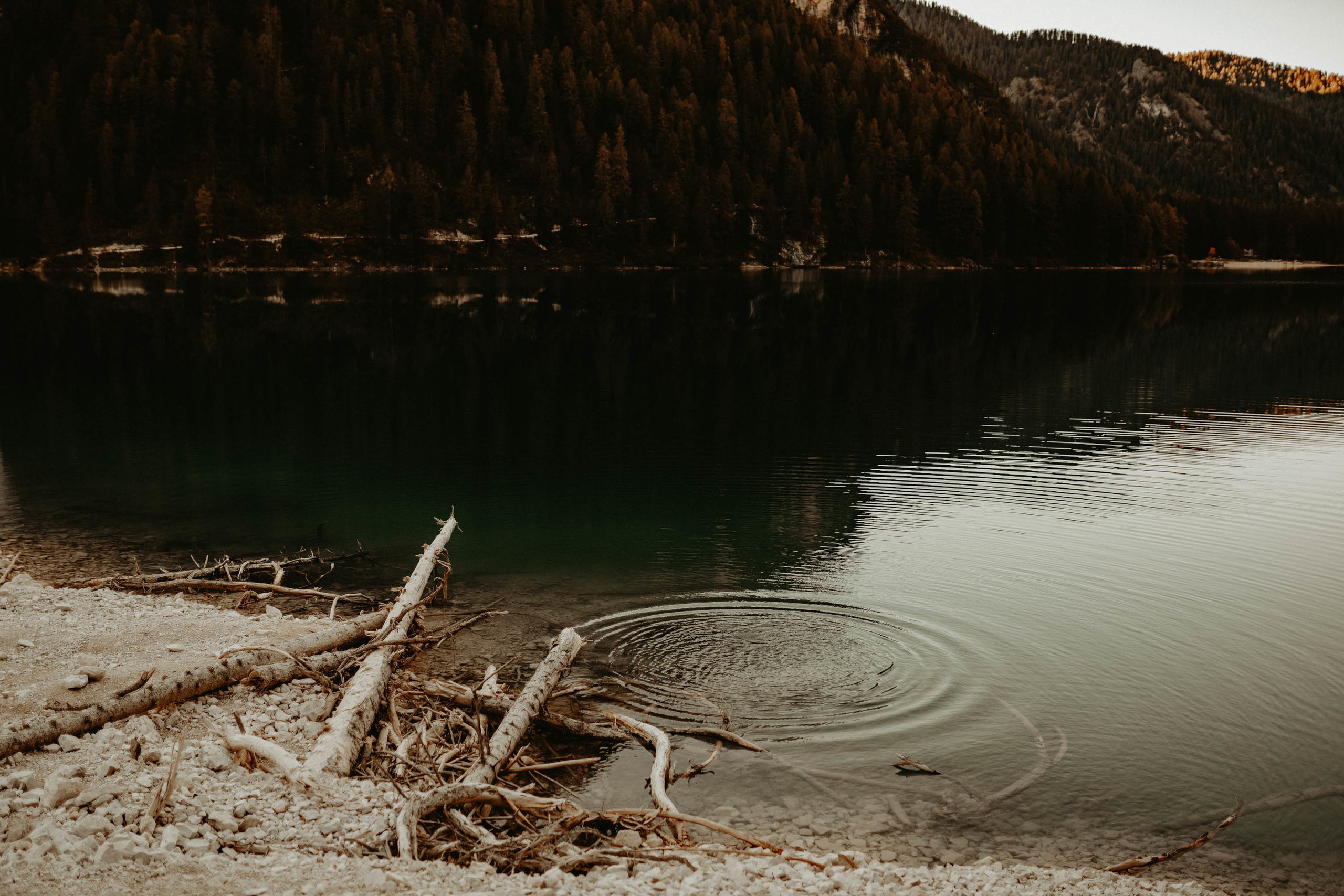 Zbor în culori de dragoste -Italia-. Servicii Foto Video în Chișinău și Europa ID-Brothers