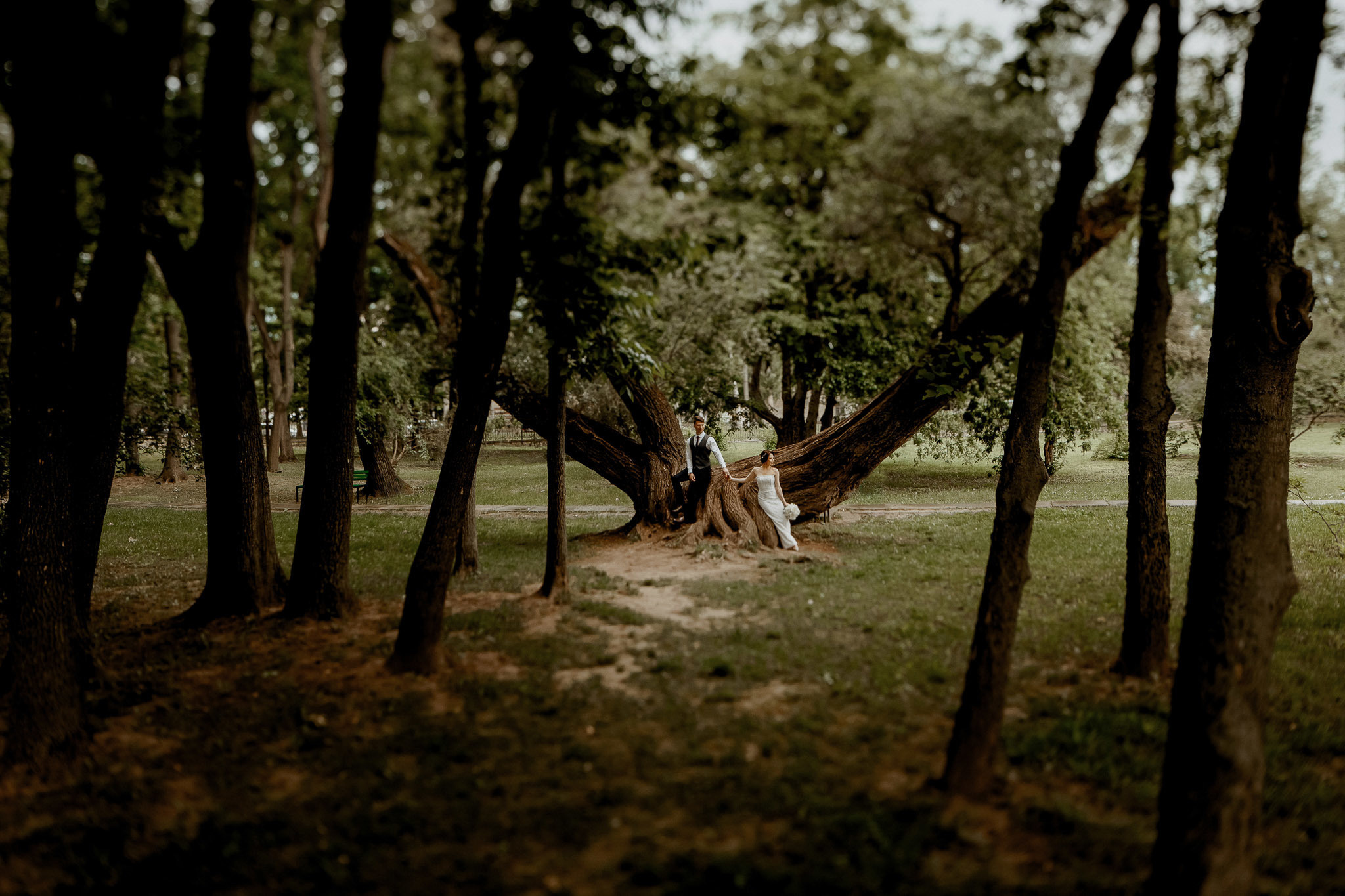 Galerie. Servicii Foto Video în Chișinău și Europa ID-Brothers