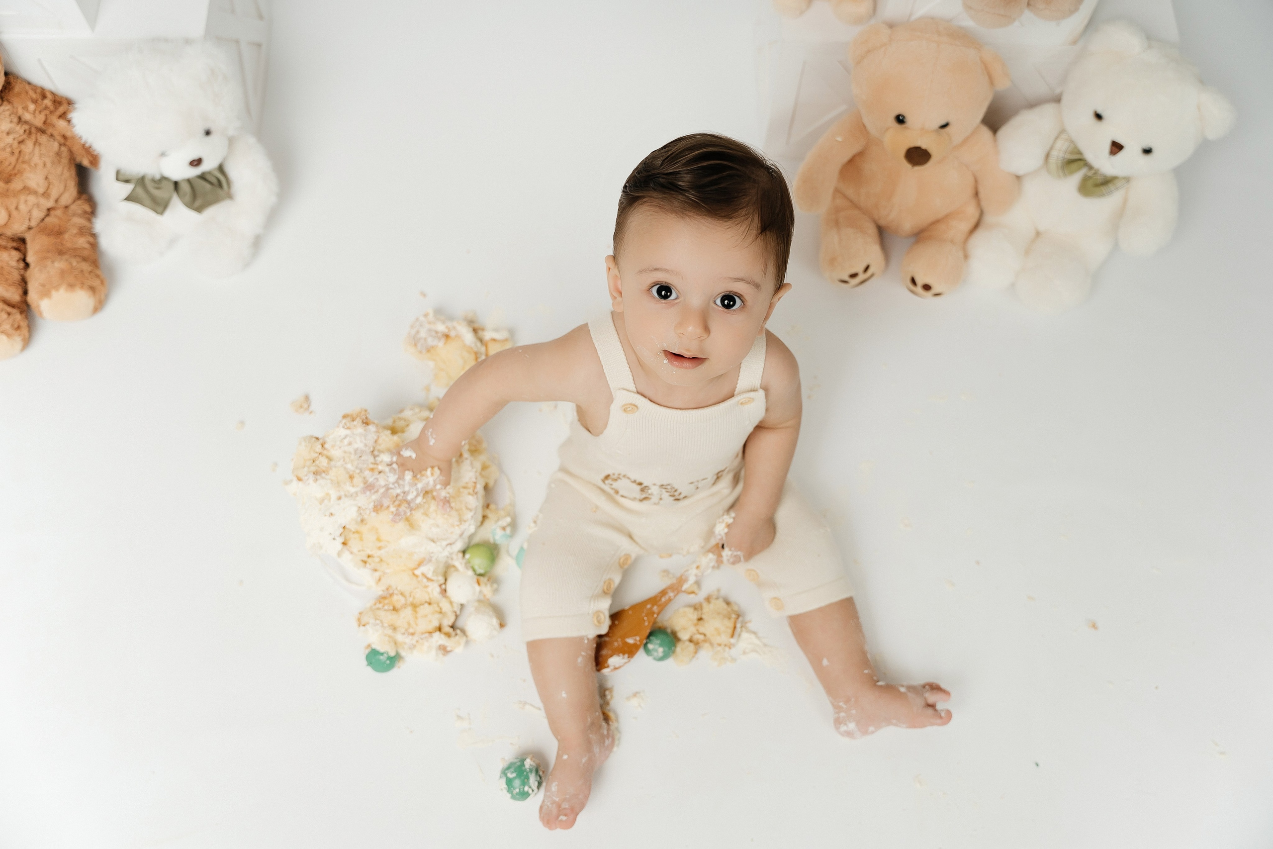 Teddy Bear One Year Cake Smash Photos. Newborn and family photographer. Hills District. Sydney