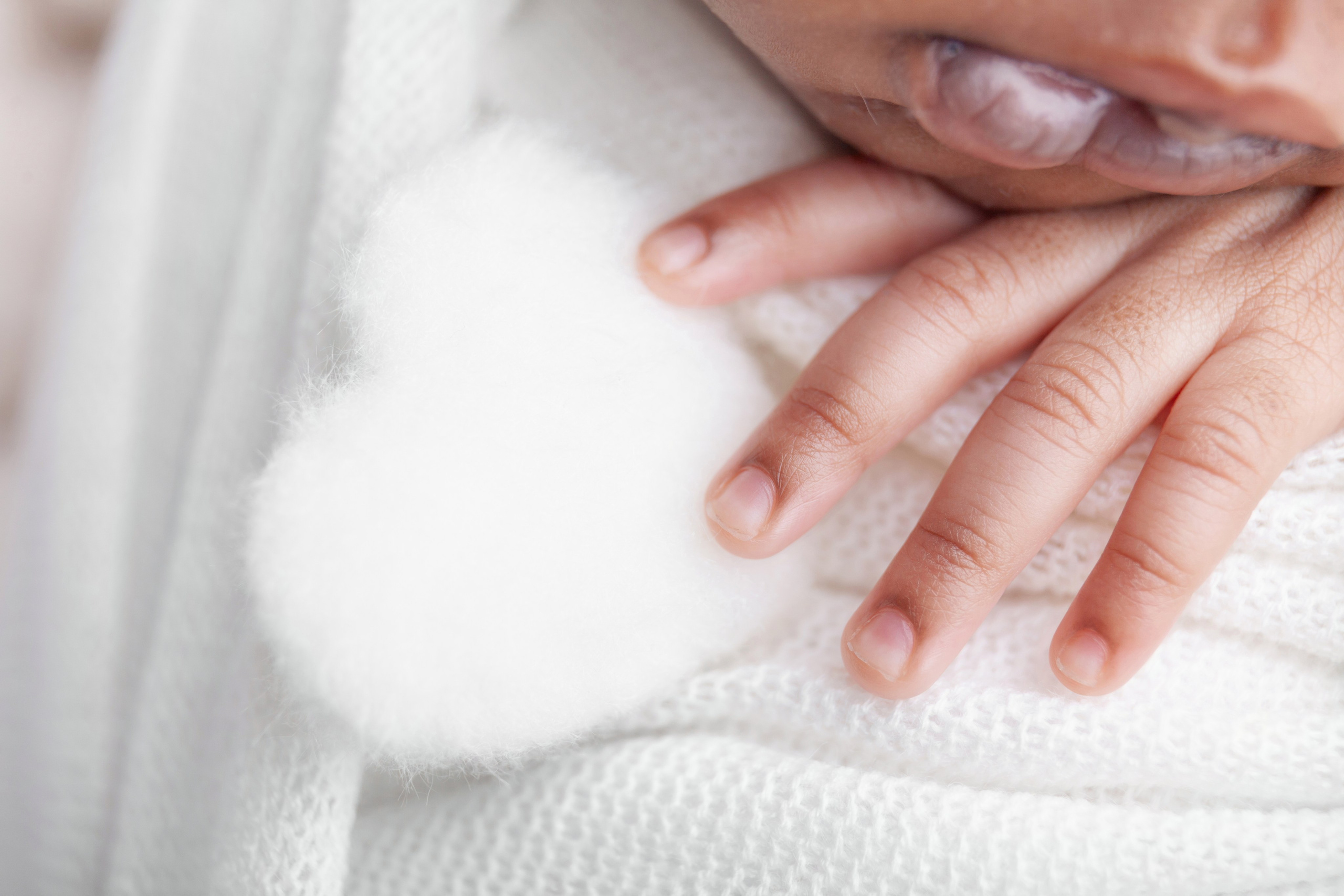 Services. Marina Pravda Photography San Francisco Bay Area