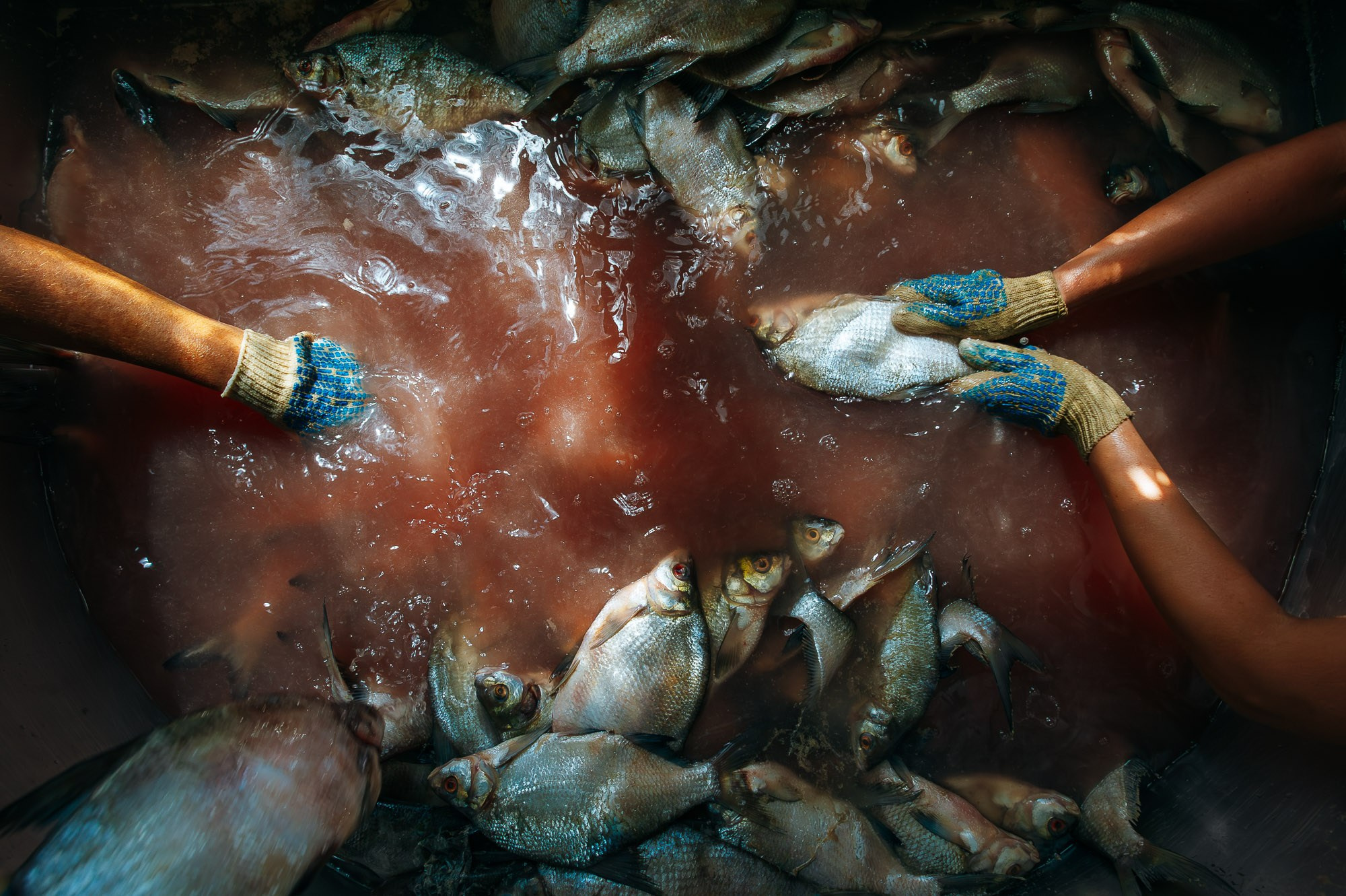 Alexander Kabanov Photographer