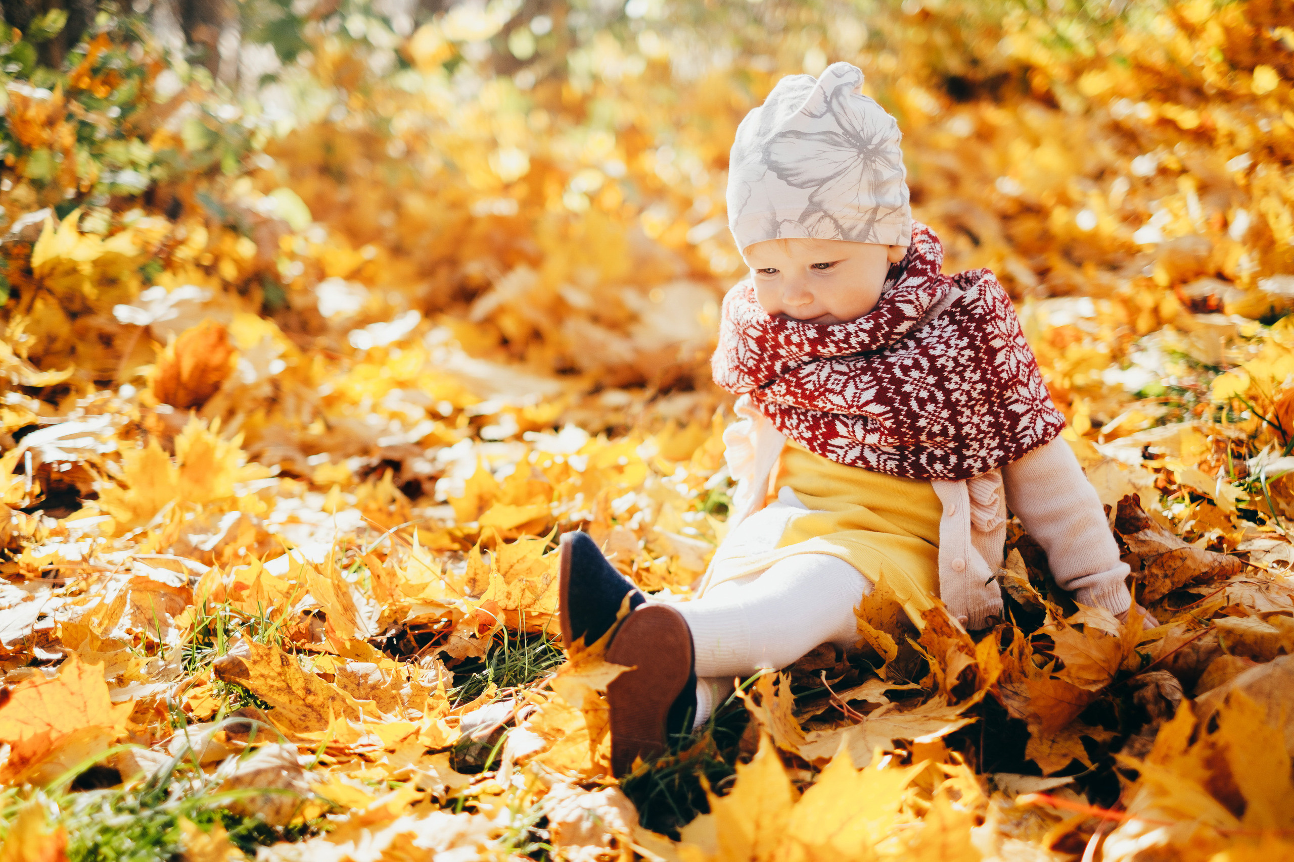 Rudens krāsās. Kāzu × Ģimenes notikumu fotografs Edgars Kalniņš