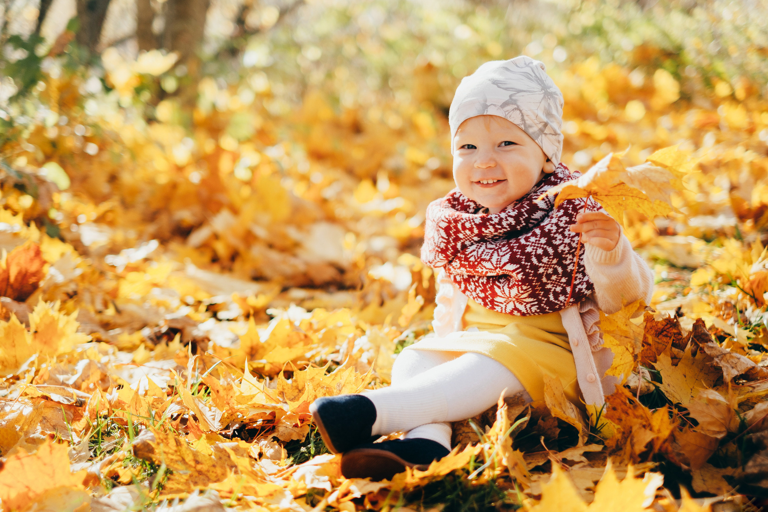 Rudens krāsās. Kāzu × Ģimenes notikumu fotografs Edgars Kalniņš