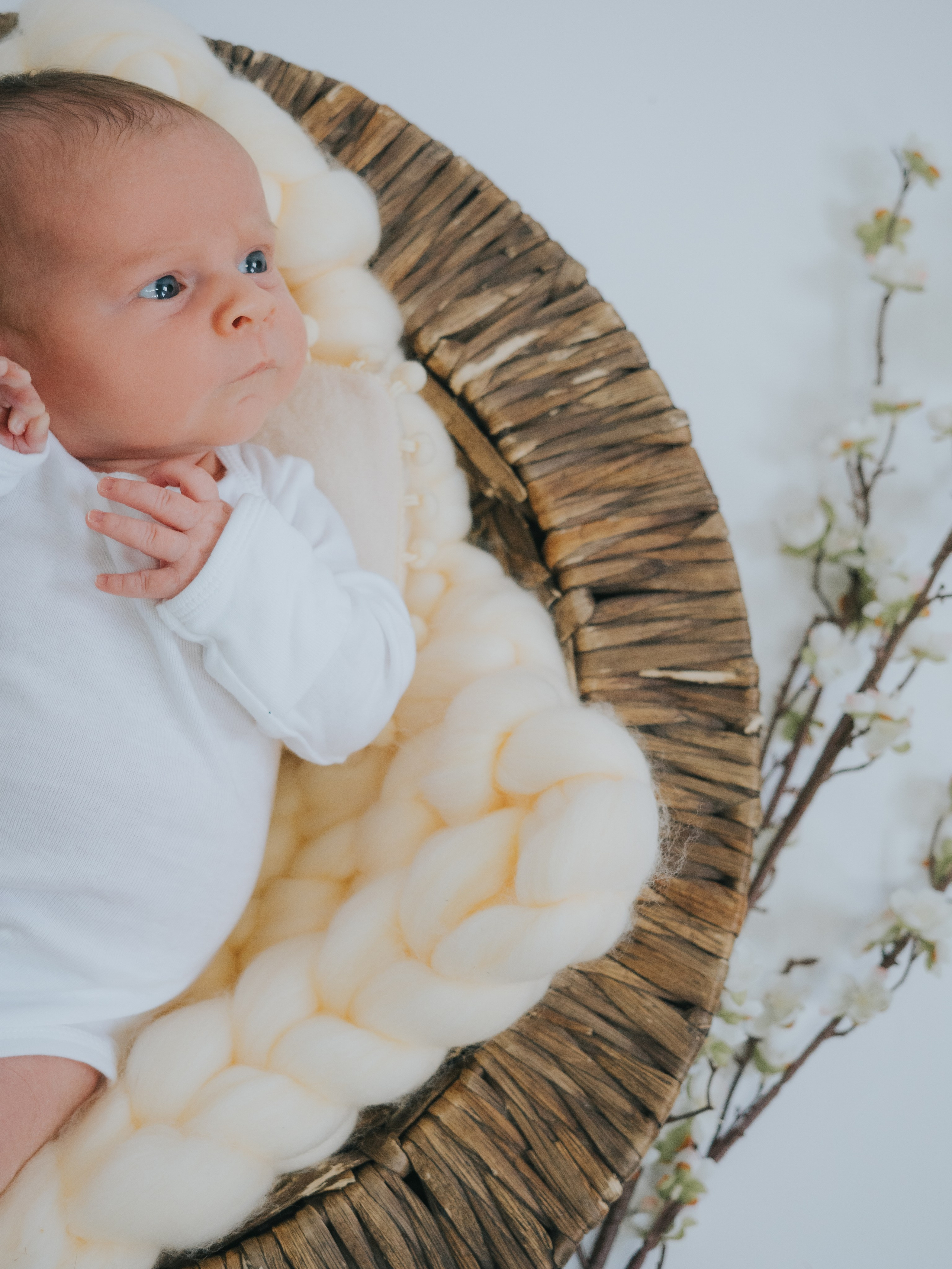 Newborn. Mimosa Studios — Motherhood & Family Photographer in Montreal