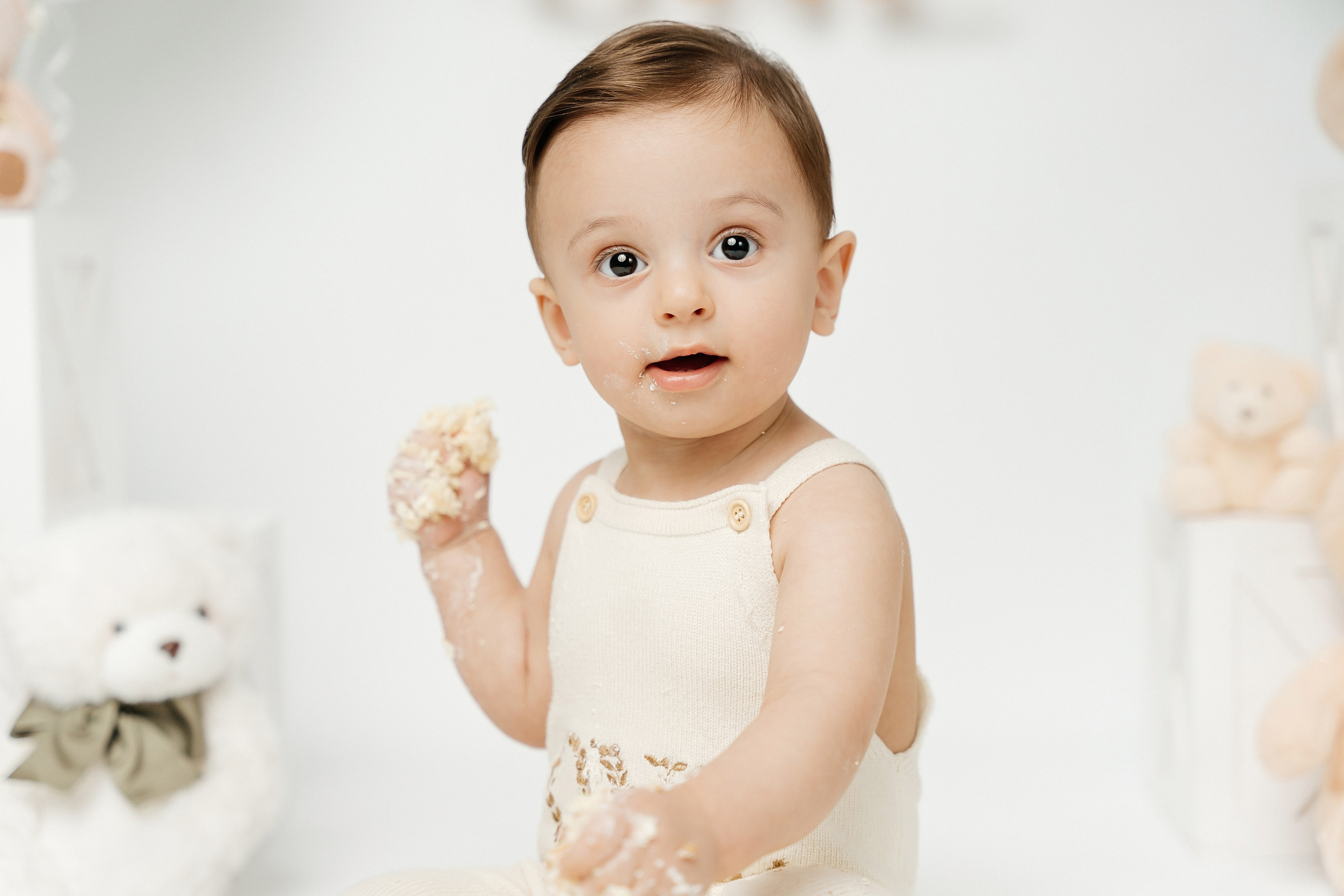 Teddy Bear One Year Cake Smash Photos. Newborn and family photographer. Hills District. Sydney