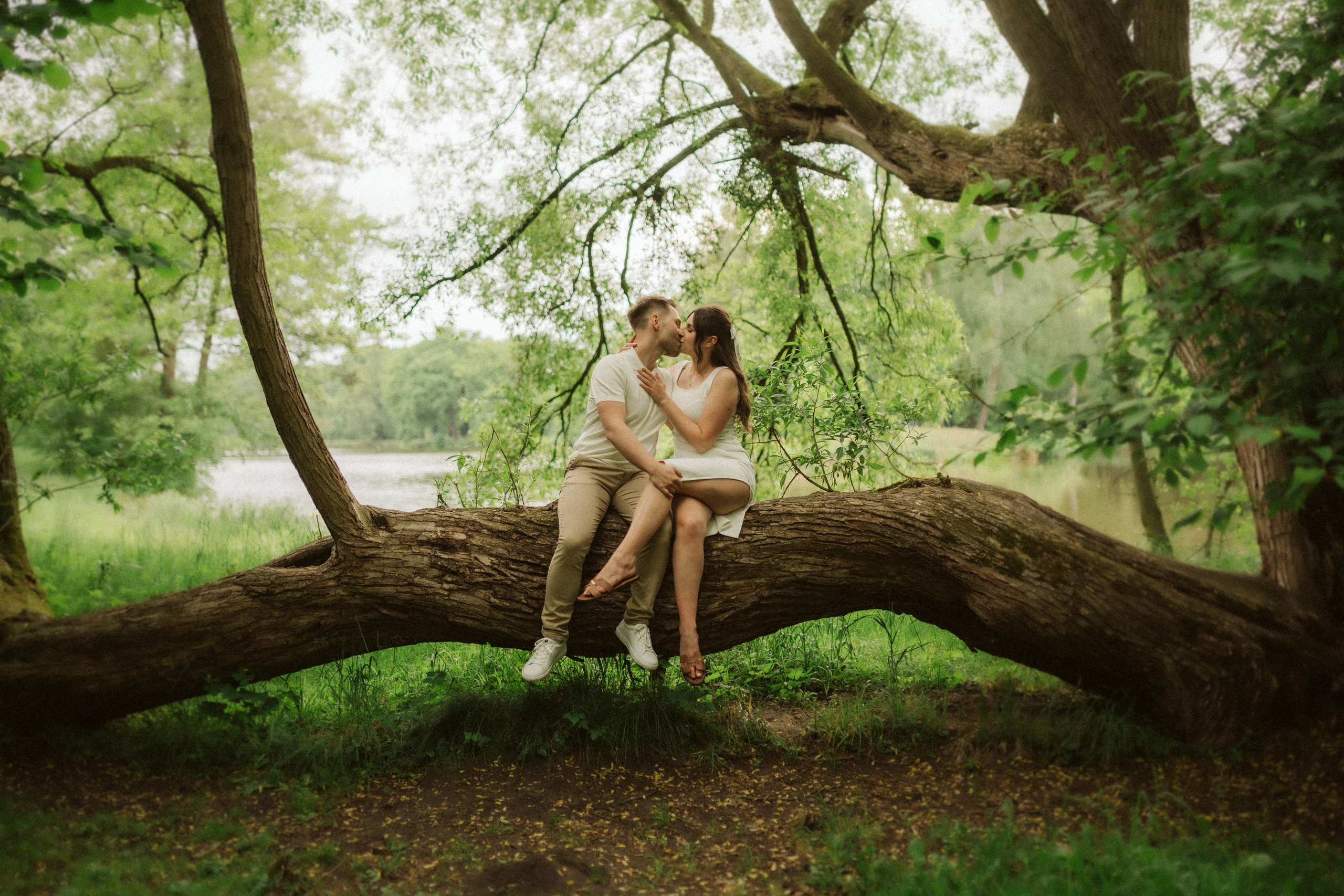 Sesja narzeczeńska Świerklaniec – para siedząca na drzewie w parku