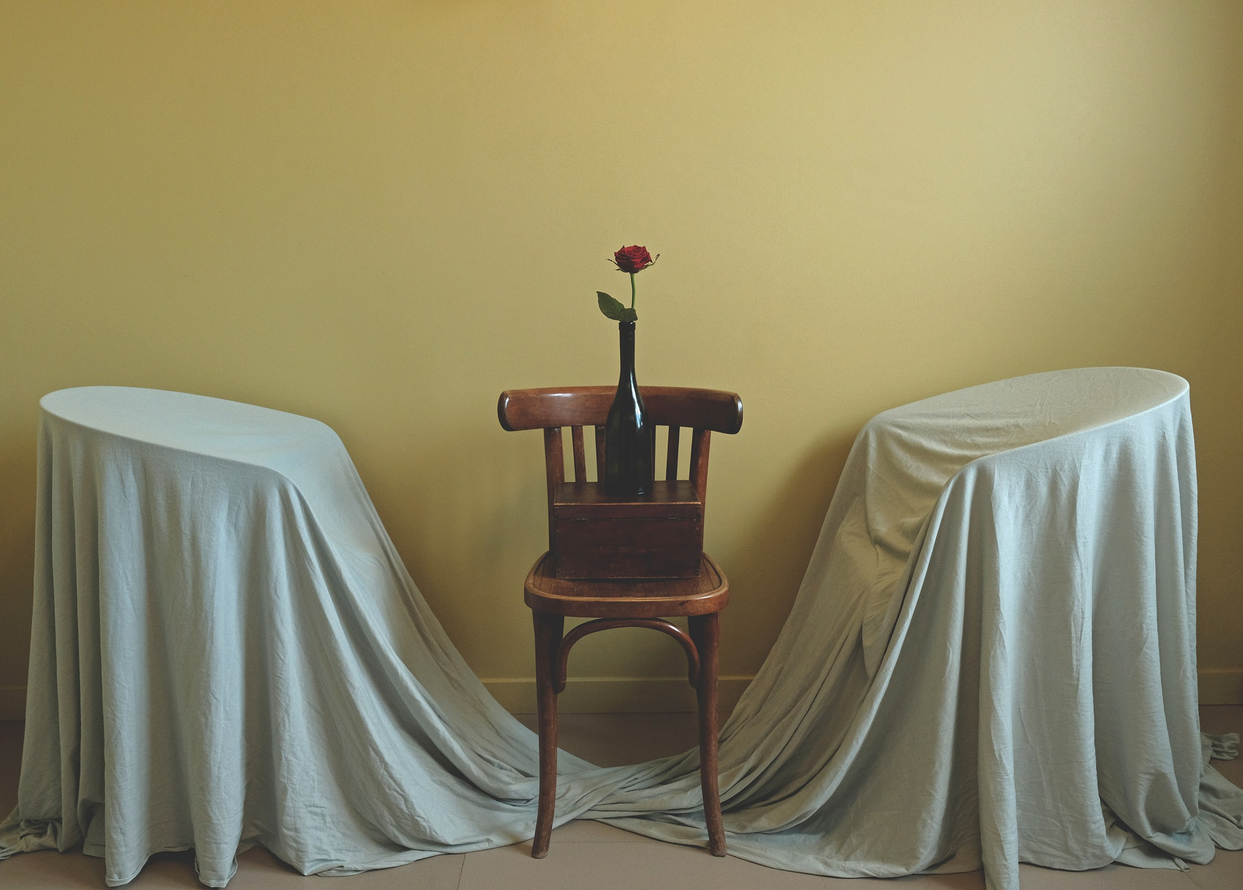 Biography of the photographer Alena Novgorodtseva. Portrait photographer Alena Novgorodtseva