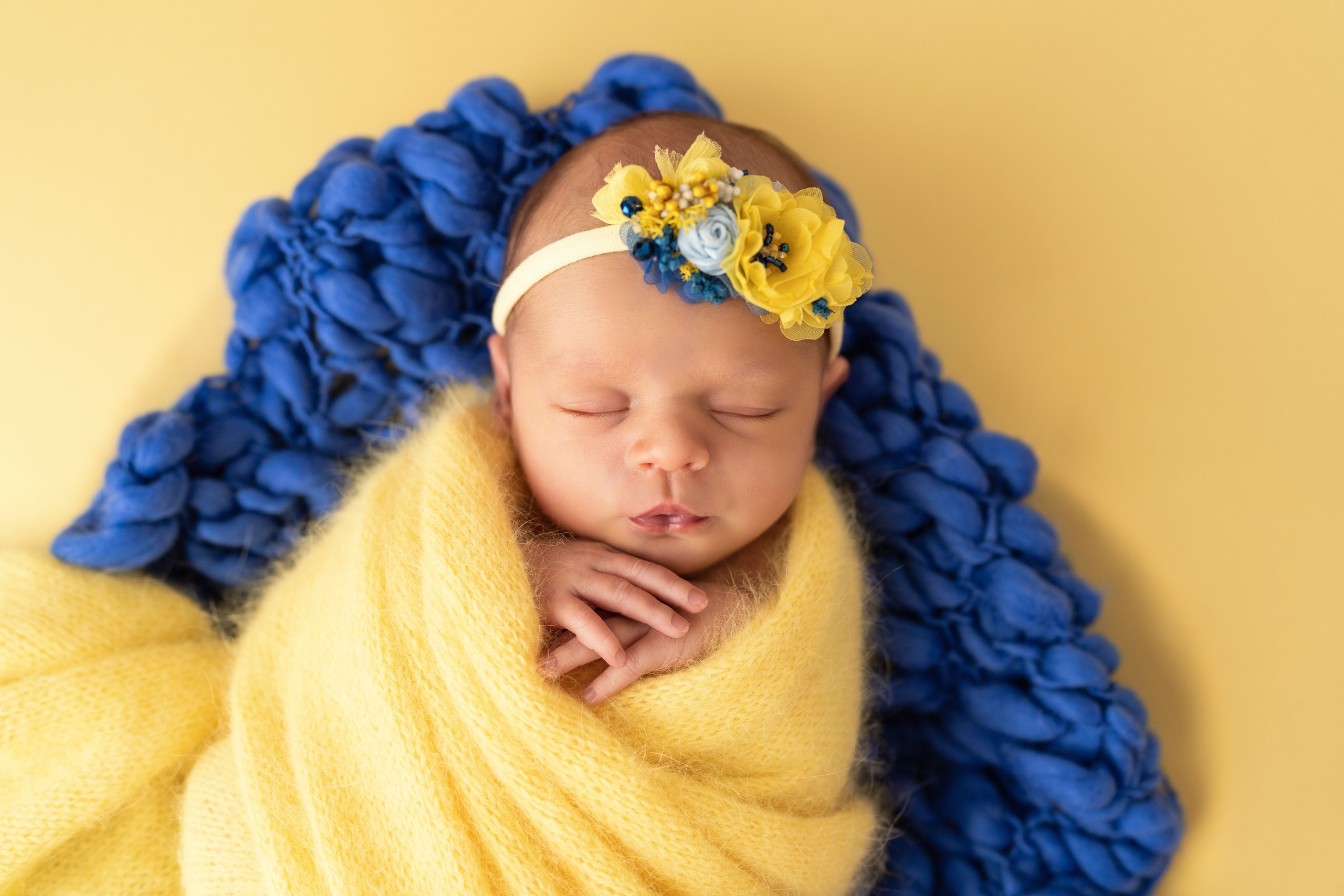Packages and pricing. JaneProPhoto | Tampa Newborn Photographer