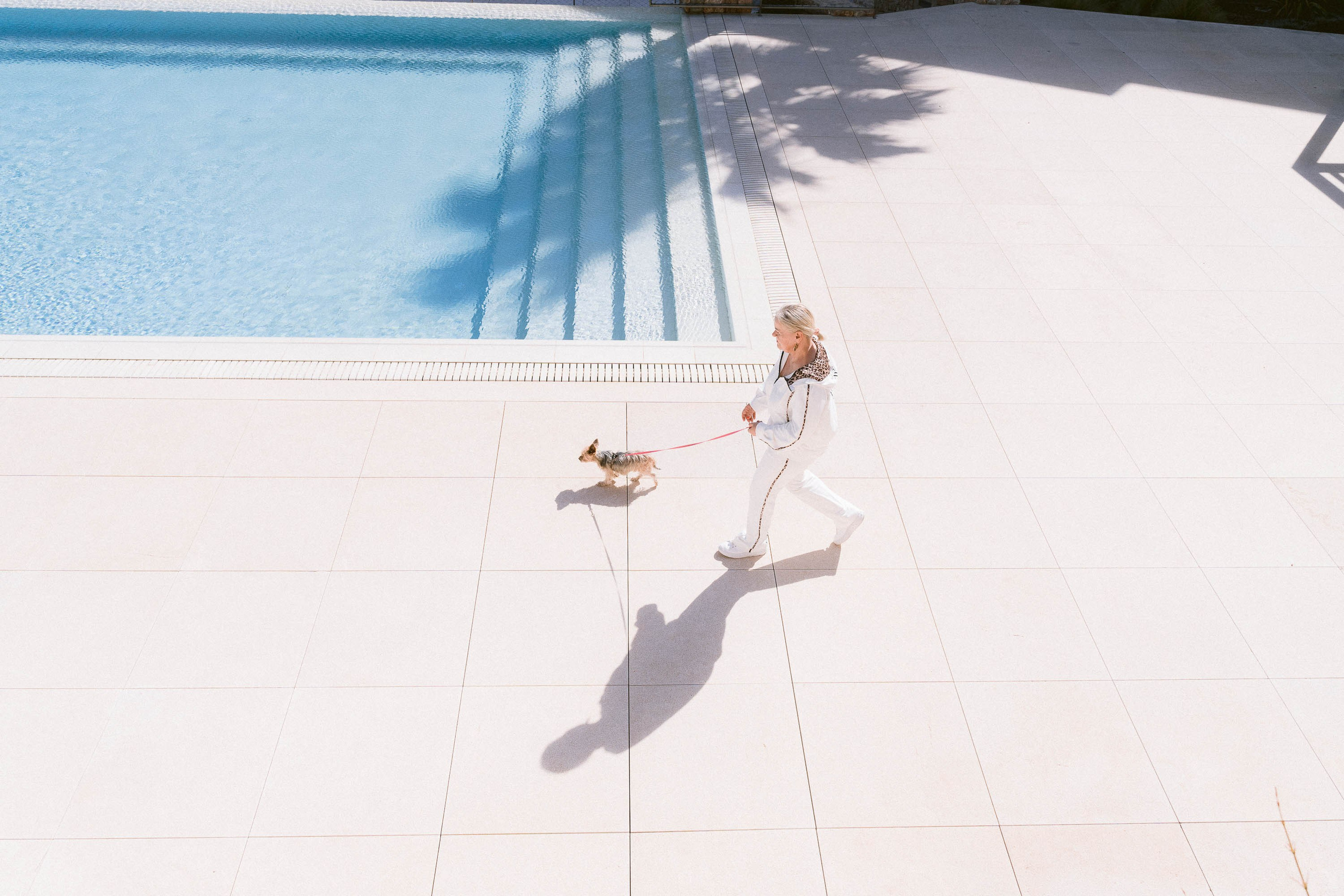 Lovely Yorkshire dog at pet photo session in Mallorca walking with her owner