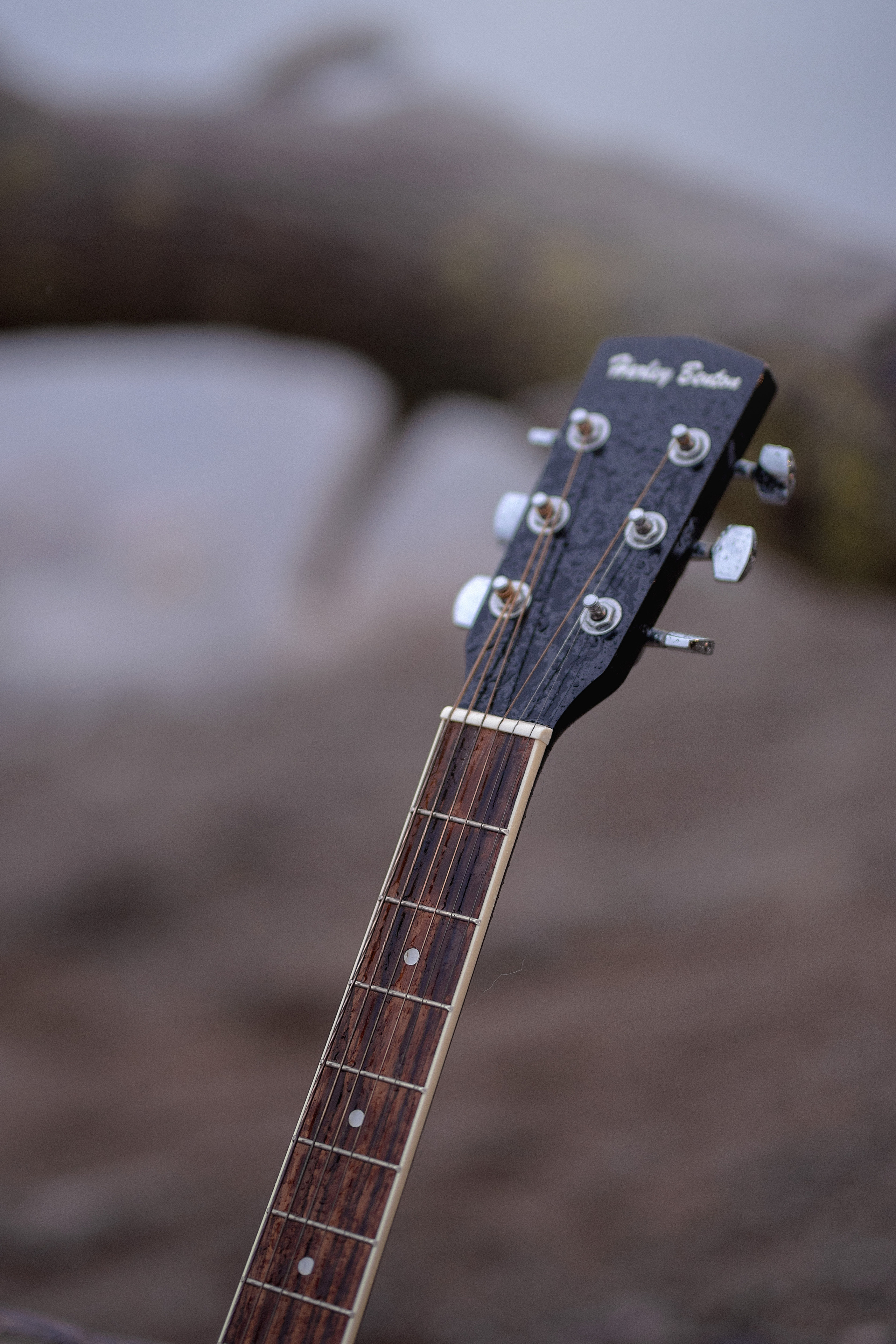 Die Geschichte Eines Musikers. Familienfotograf, Hochzeitsfotograf in Hamburg und Umgebung