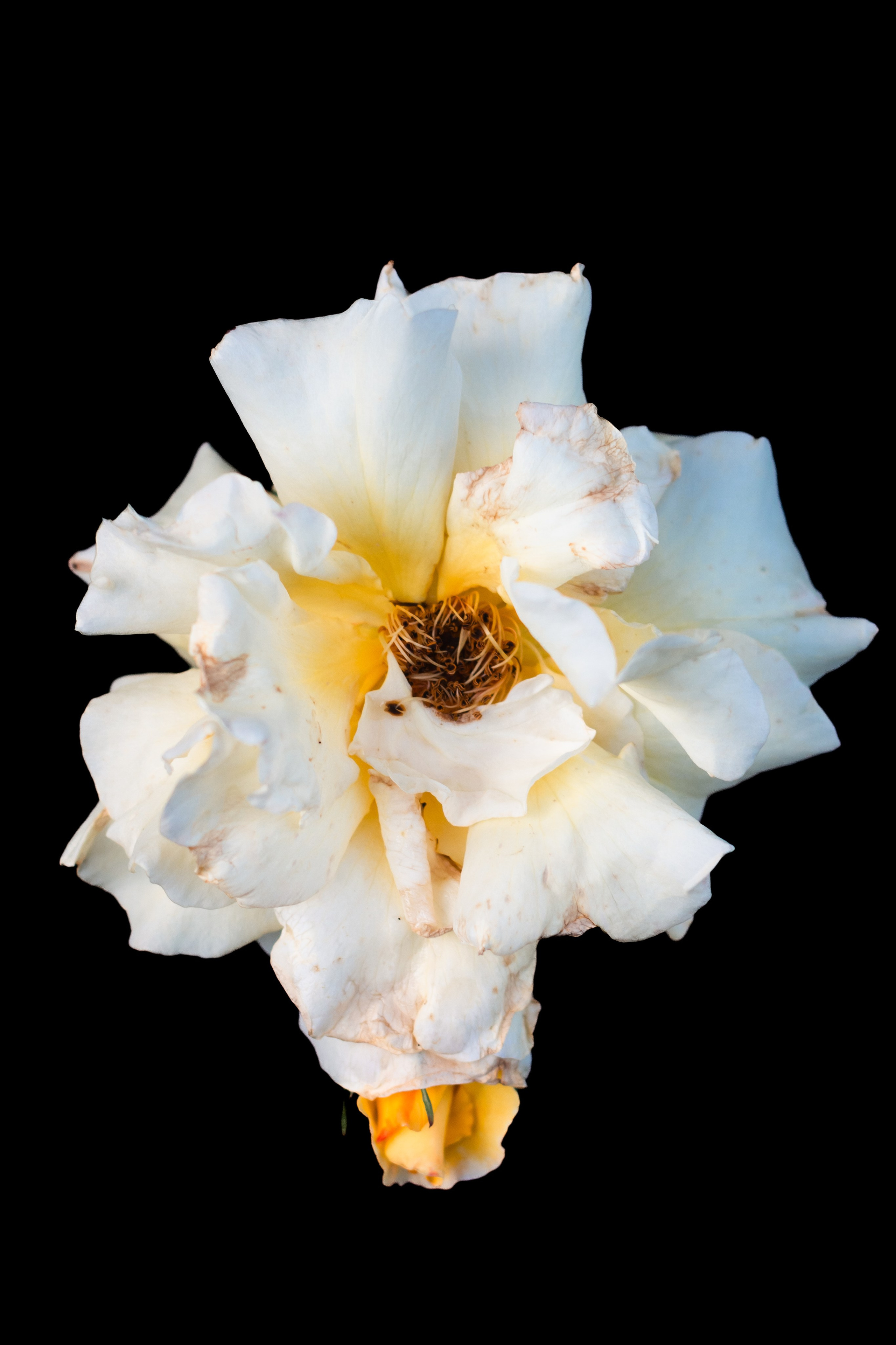 Life is beautiful at every stage. Look Around You