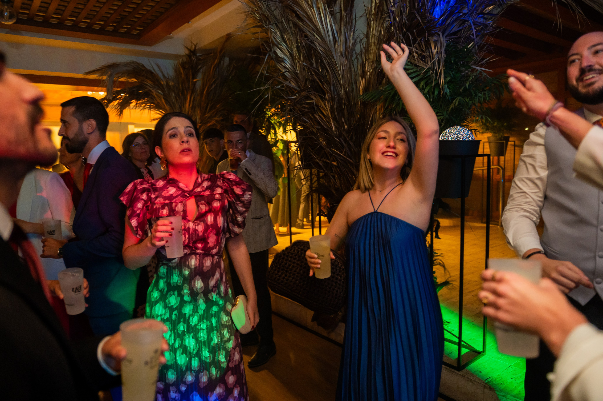 Boda de Teresa y Carlos - Elche