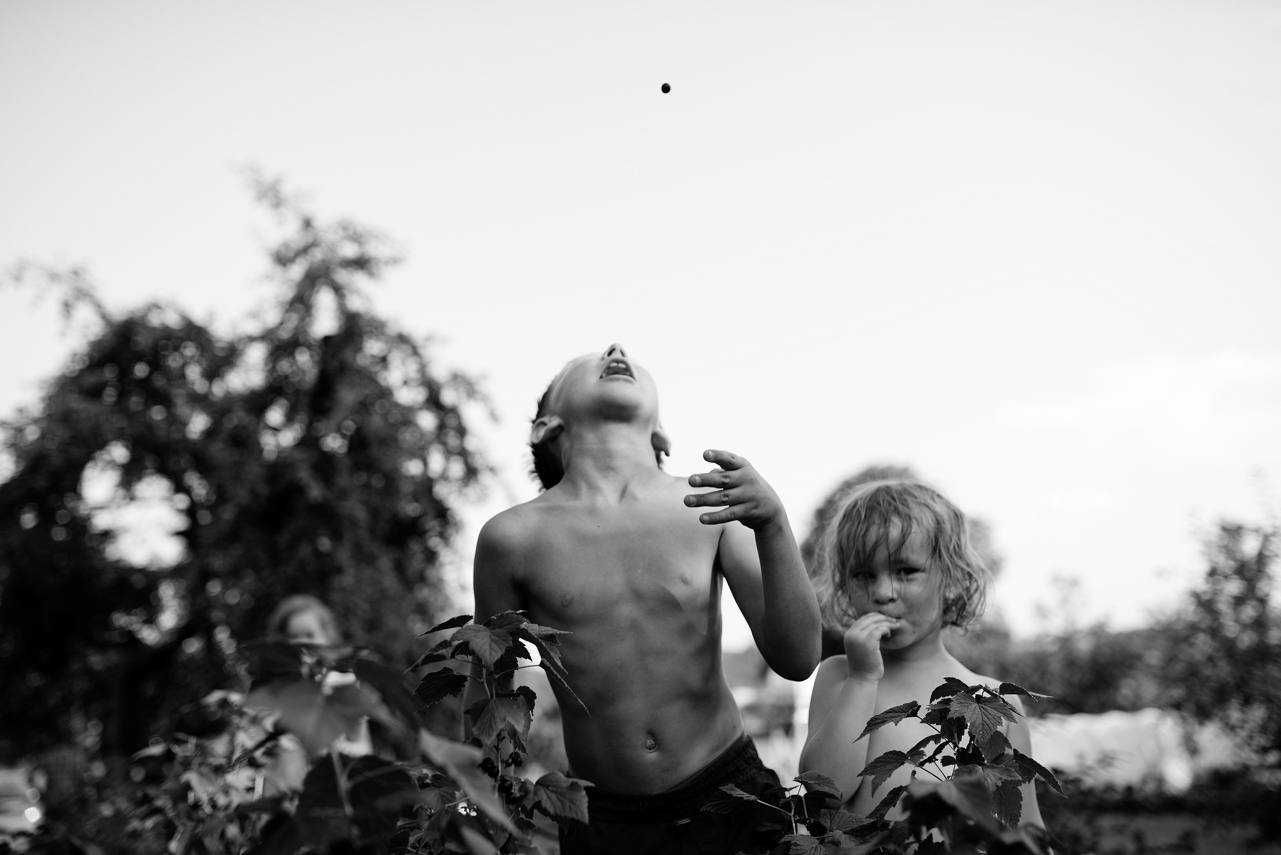 Nėštumo, laukimo, šeimos, vaikų, porų fotosesija fotografavimas. Šeimos fotografas Vilnius Trakai kaina fotografė personal.lt photogrpahy kainos šeima, vaikai profesionali natūrali meninė reportažinė klasikinė fotosesija gamtoje namuose
