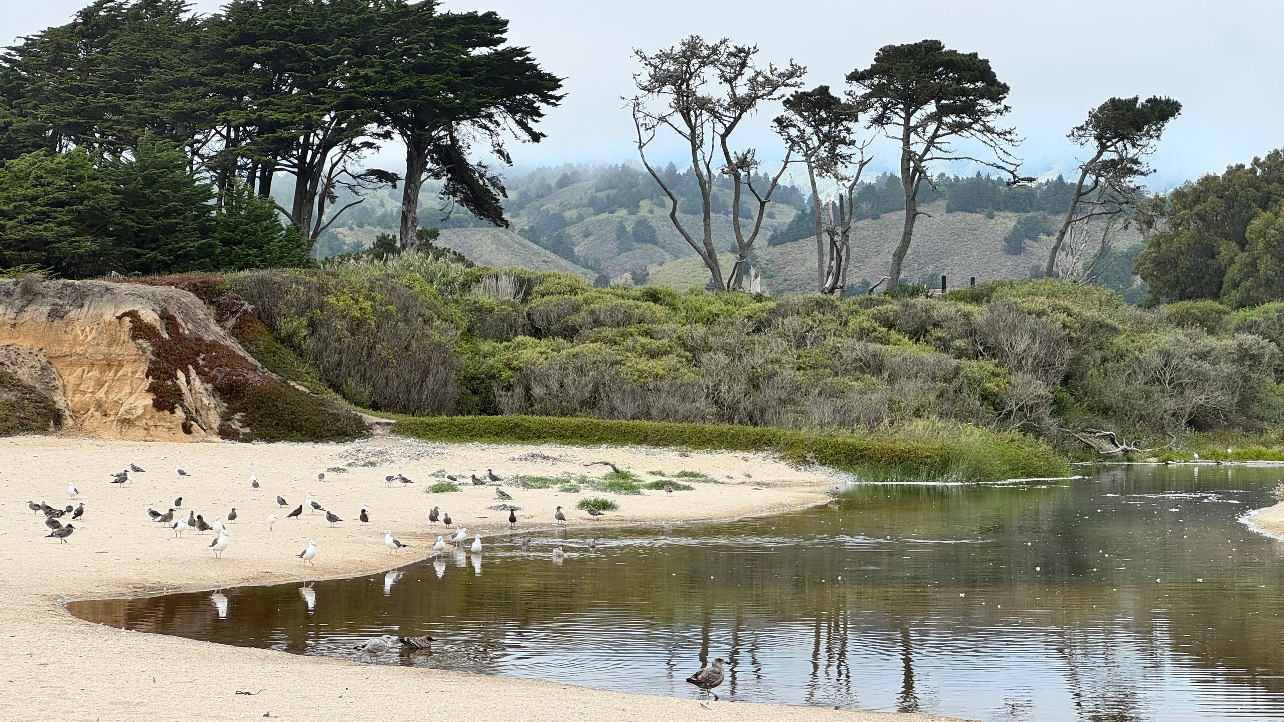 Bay Area Beach Guide for Photoshoots | Best Beaches for Maternity, Couples & Family. Maternity, newborn photographer in the Bay Area|Iryna Rakivnenko