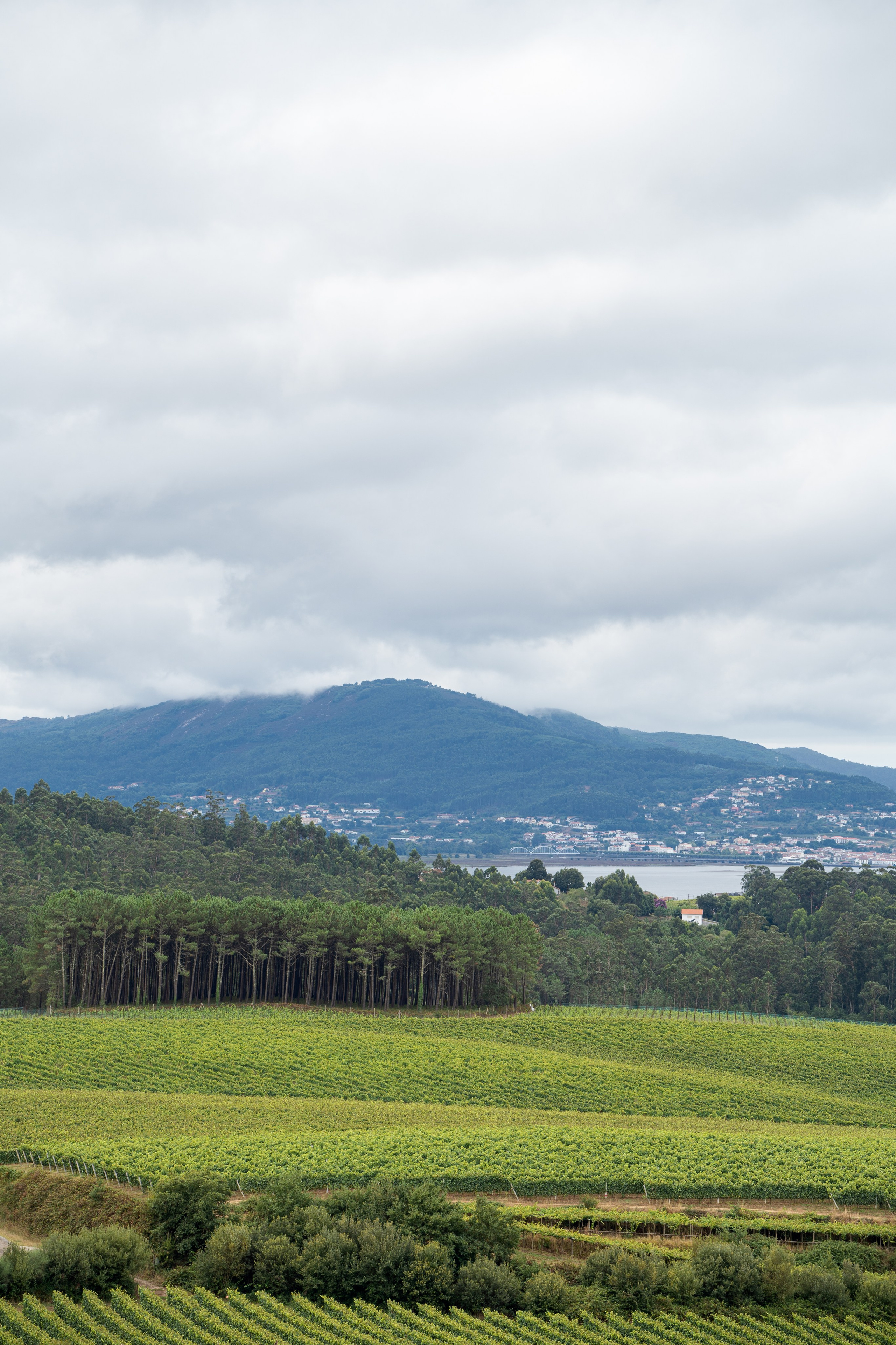 Creative Inspiration for Photographers & Artists. Photos of Galicia. Photographer in Madrid, Spain. Alyona Belyaninova