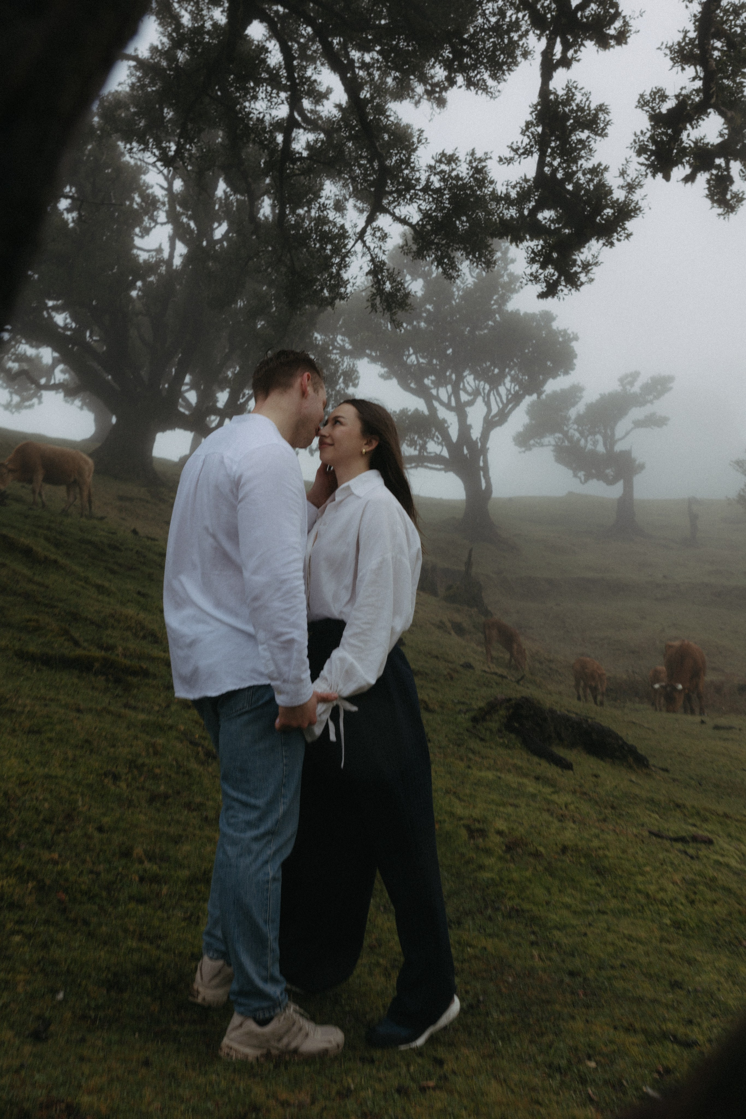 Magic of Fanal Forest. Wedding photographer and videographer based in Timisoara, Romania