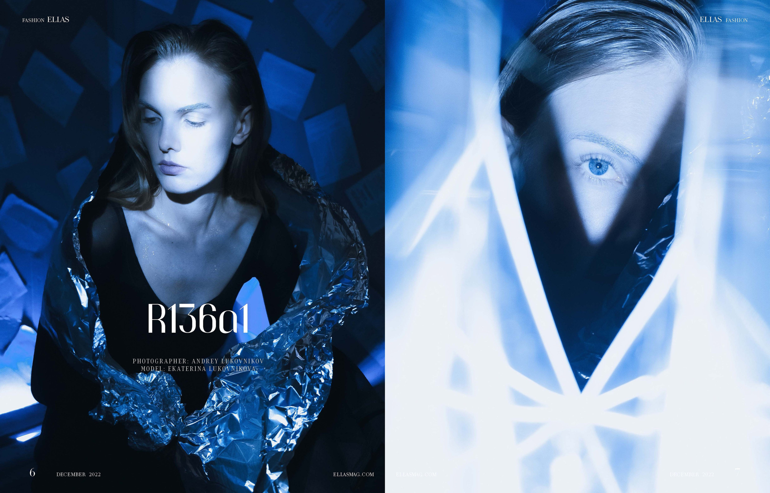 The best publications of the project R136a1