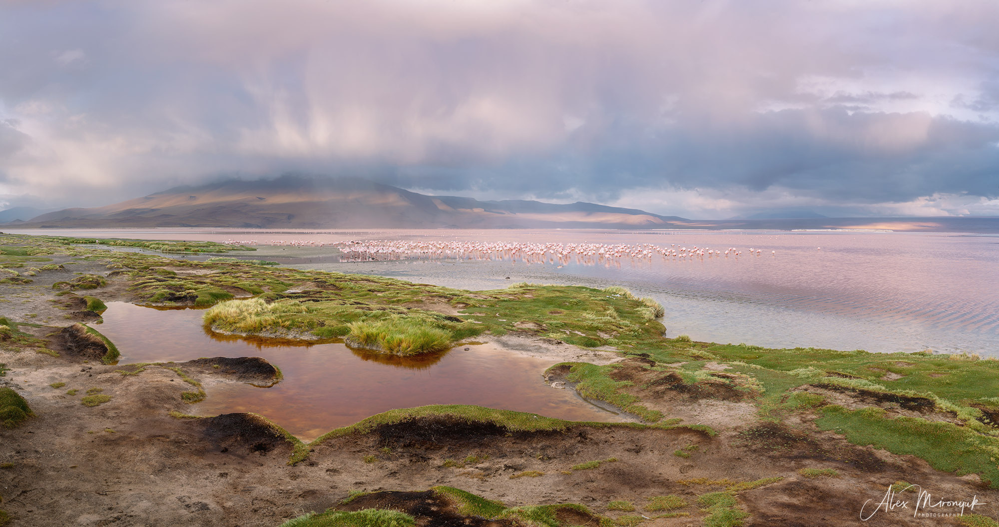 Bolivia Adventure. Pet, Senior, Landscape, portrait studio, photographer in Miami and Sou