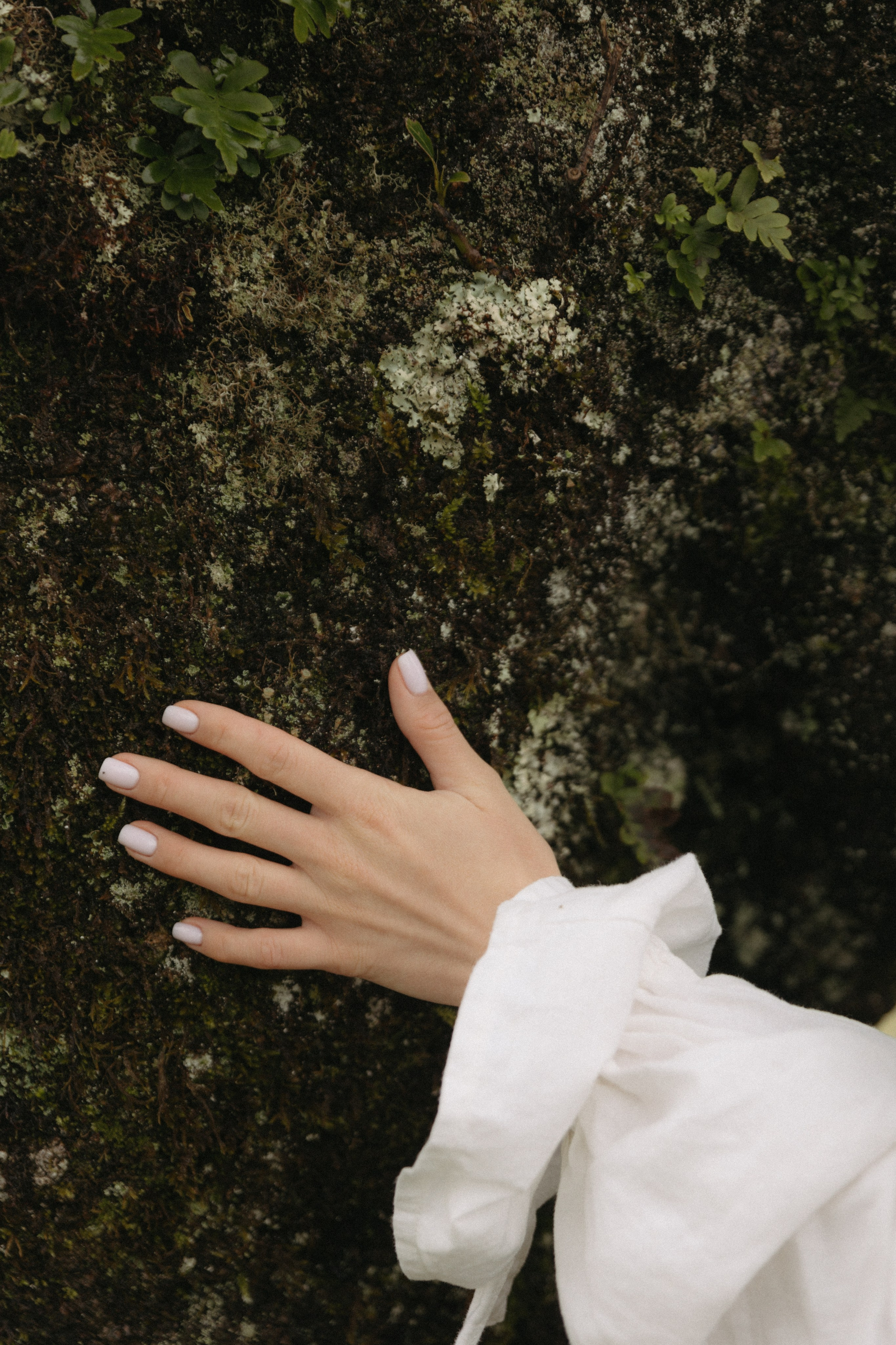 Magic of Fanal Forest. Wedding photographer and videographer based in Timisoara, Romania