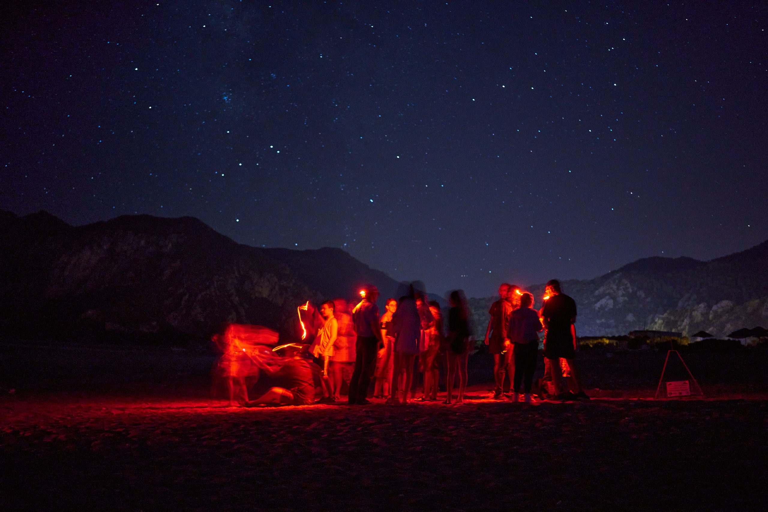 Caretta caretta | Anastasiia Nelen photographer