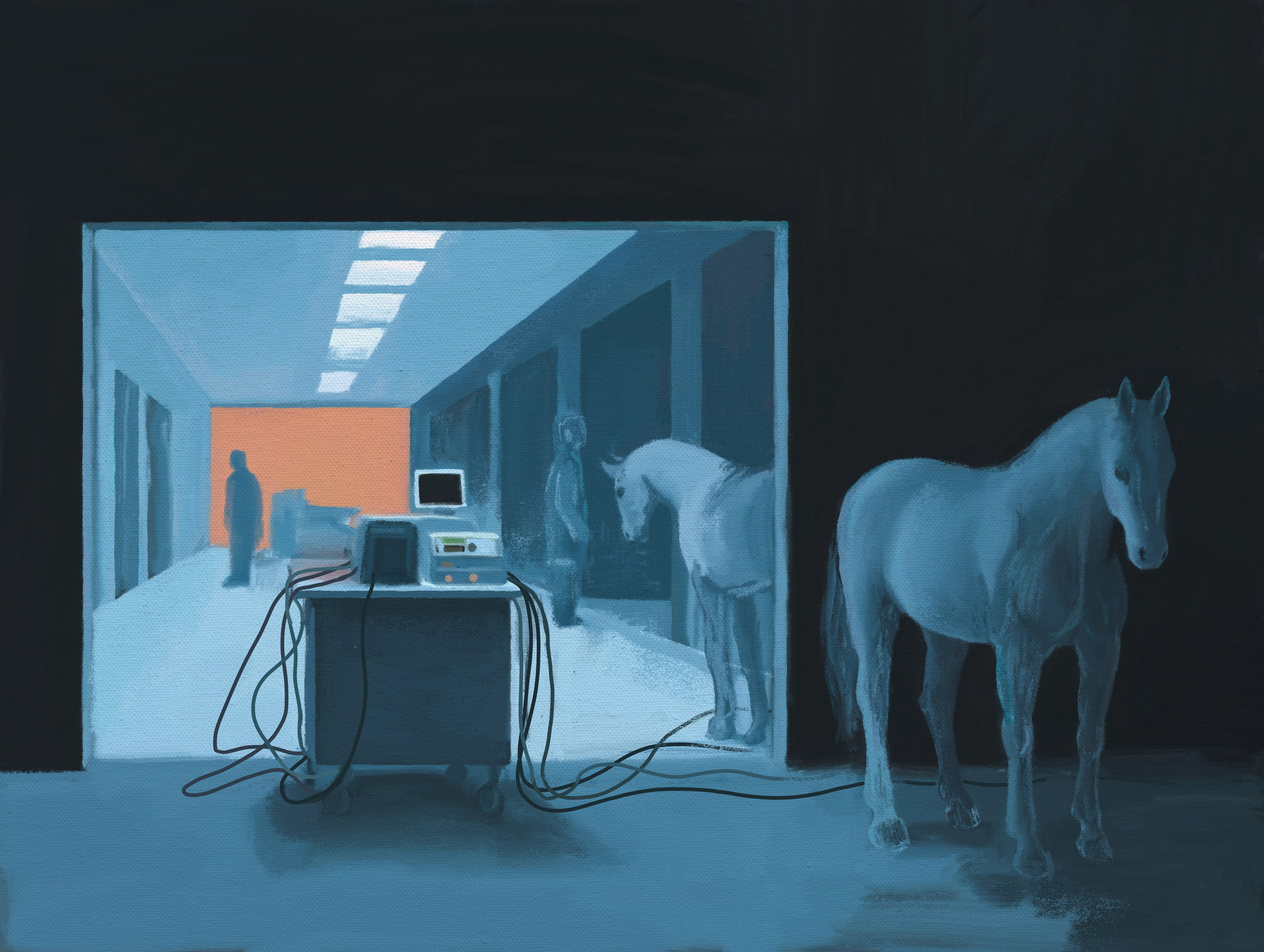 Horse Hospital. Marina Antonova