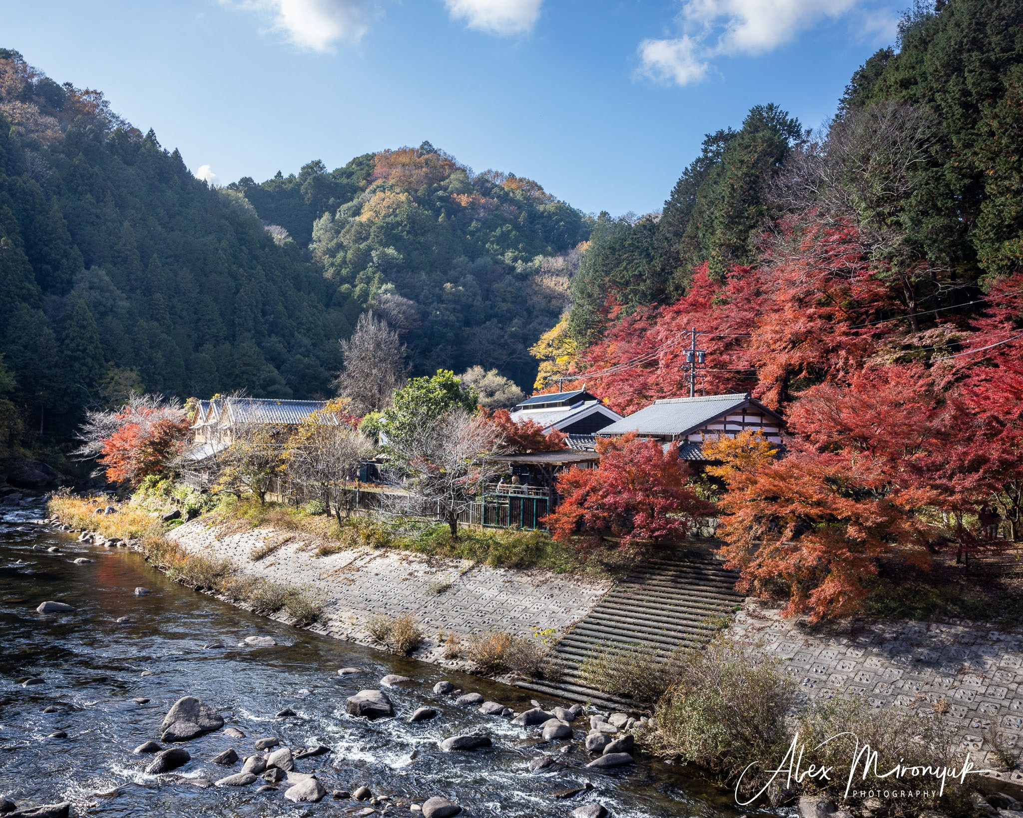Autumn Colors of Japan. Pet, Senior, Landscape, portrait studio, photographer in Miami and Sou