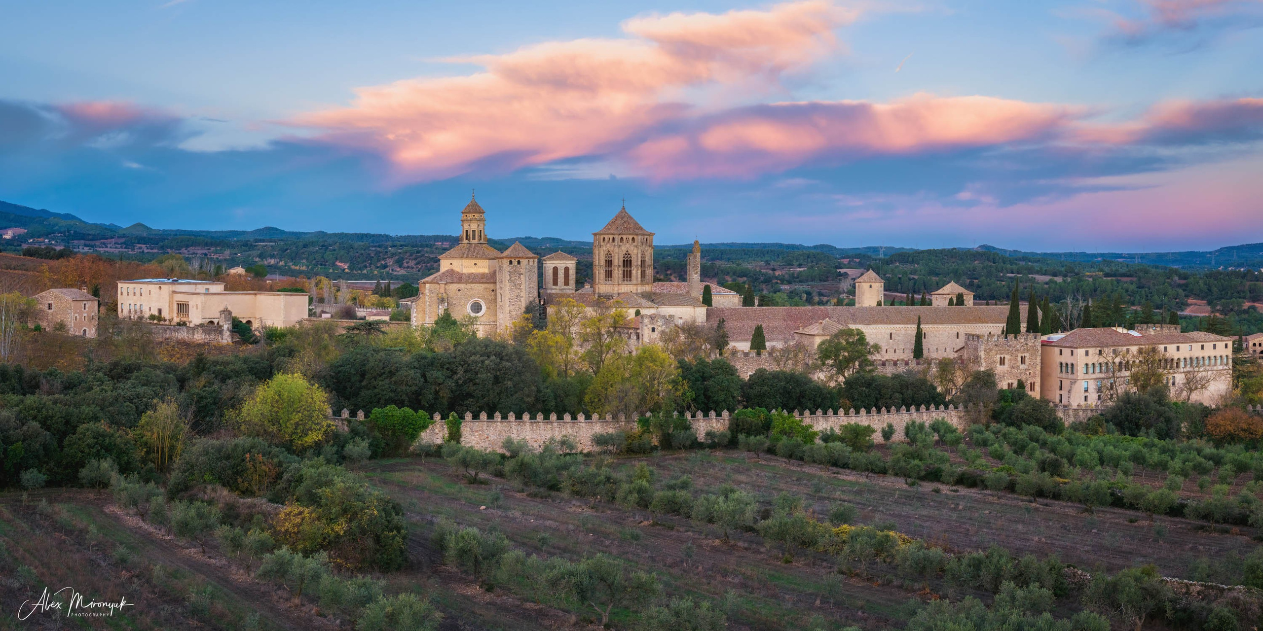 Catalonian Medieval Castles. Pet, Senior, Landscape, portrait studio, photographer in Miami and Sou